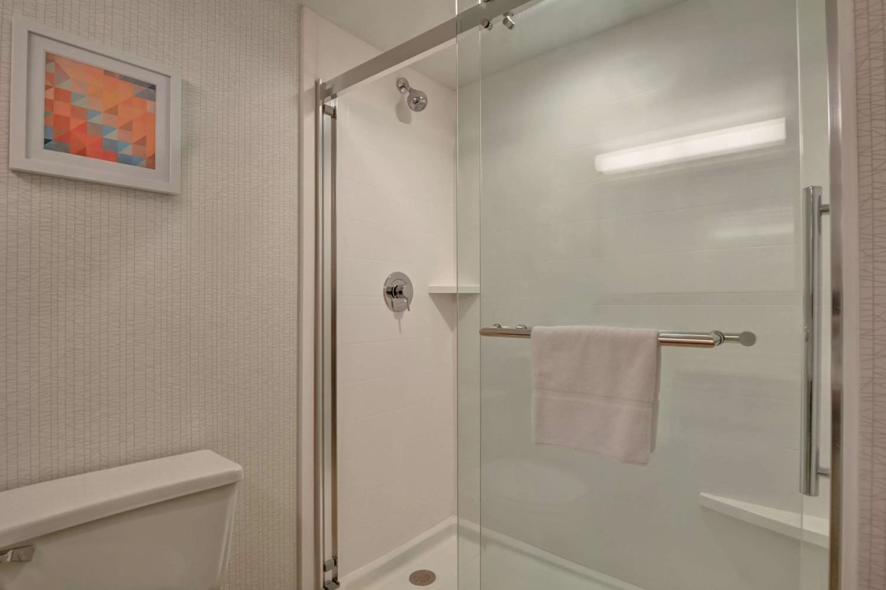 Bathroom in Hampton Inn Anderson