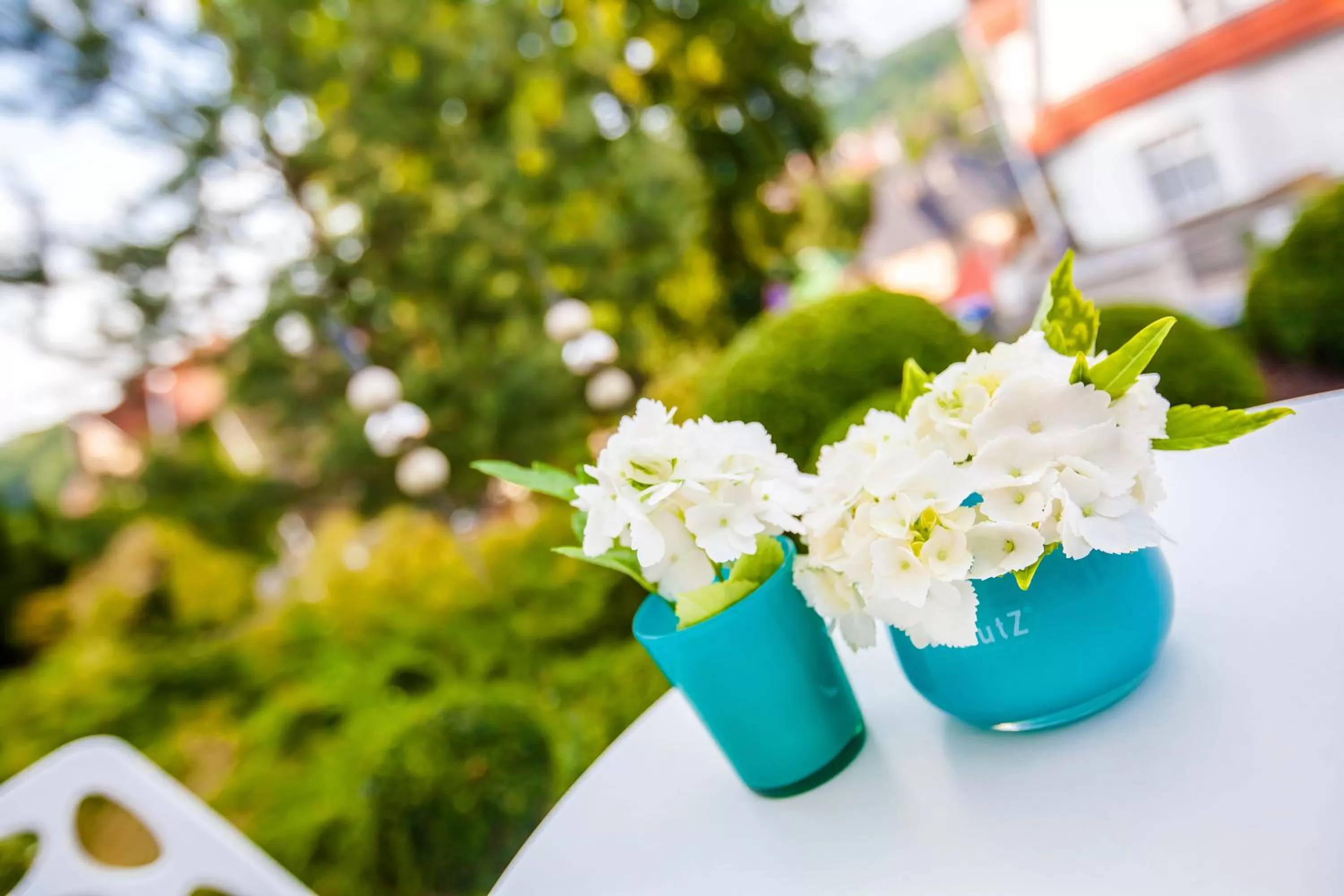 Balcony/Terrace in Boutique-Hotel Villa Anna