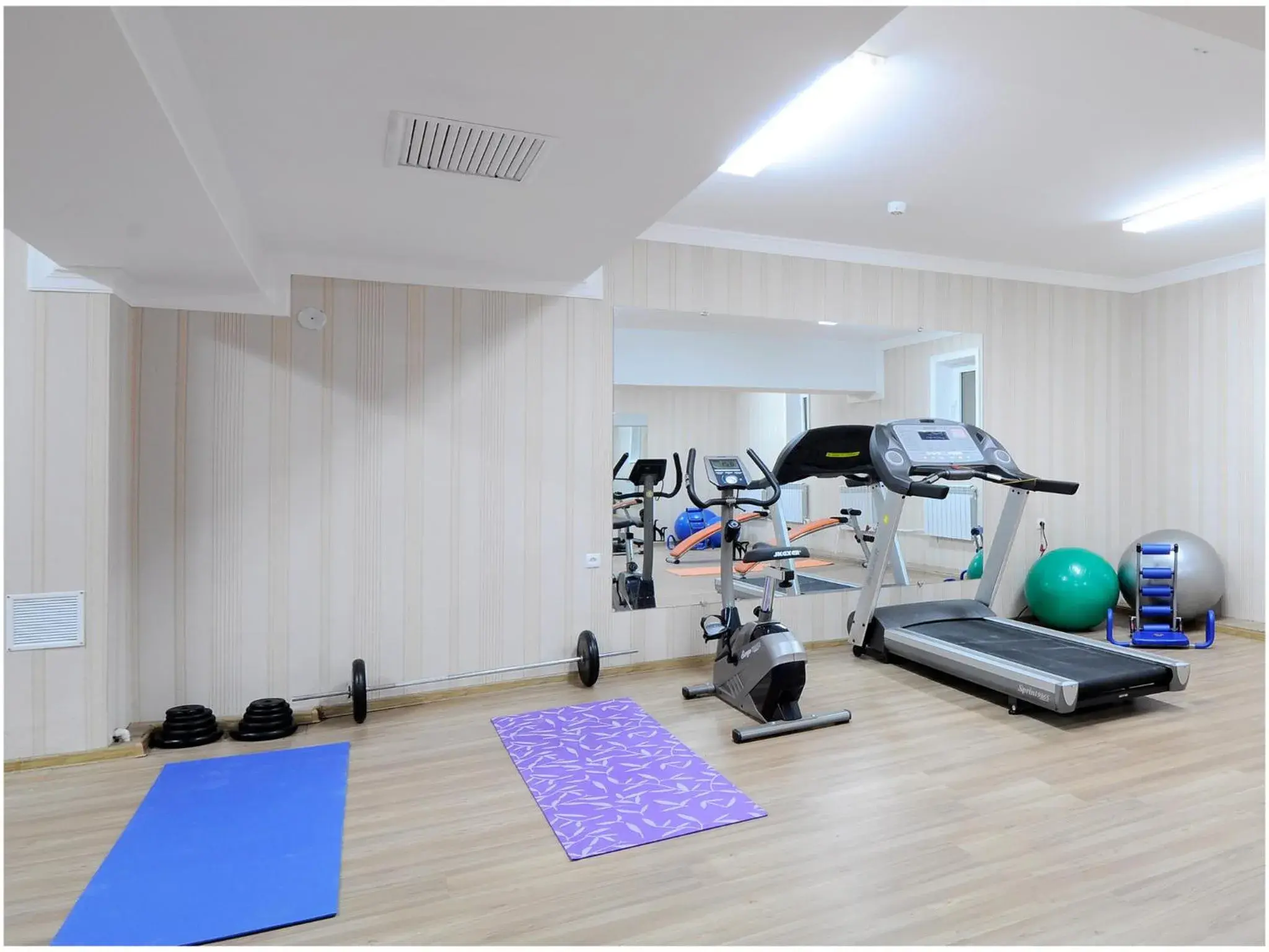 Fitness centre/facilities, Fitness Center/Facilities in Golden Valley Hotel