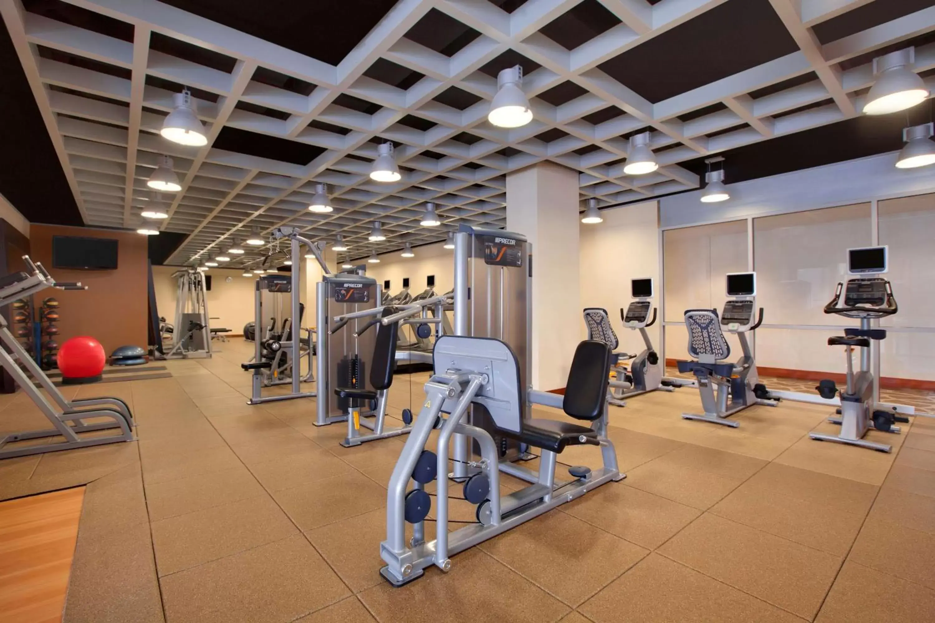 Fitness centre/facilities, Fitness Center/Facilities in Hilton Baltimore BWI Airport