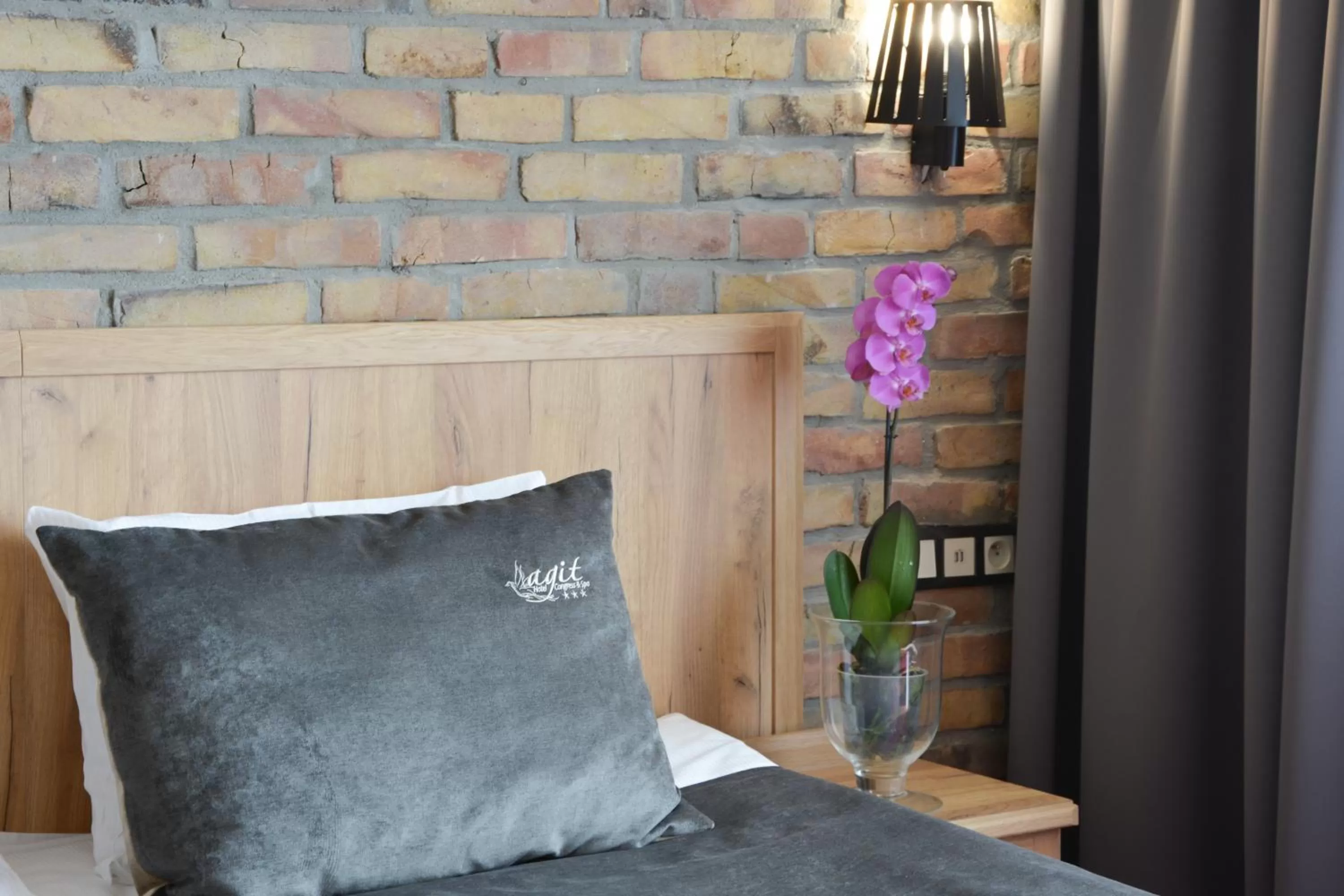 Photo of the whole room in Hotel Agit Congress&Spa