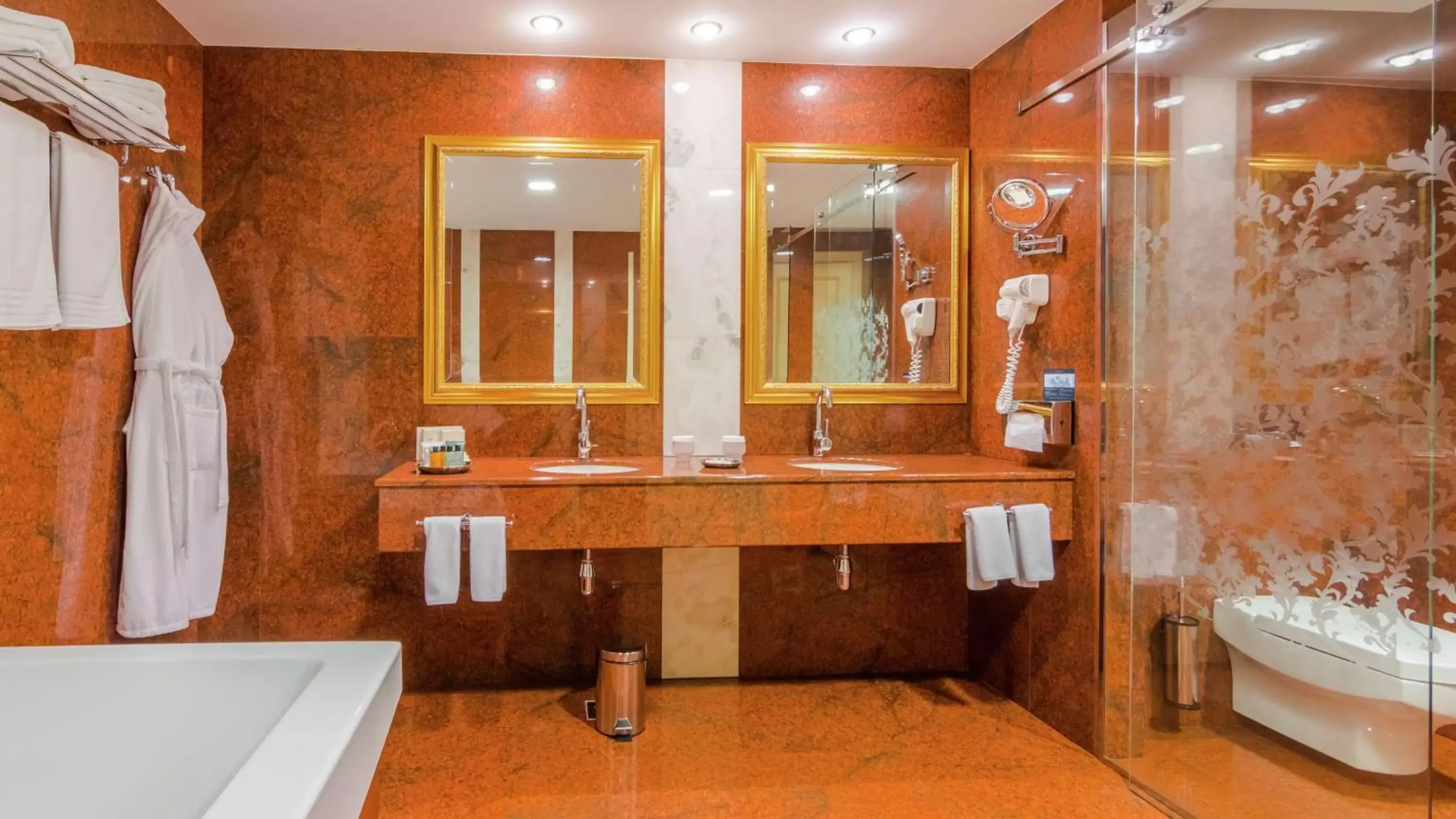 Bathroom in Hilton Sibiu
