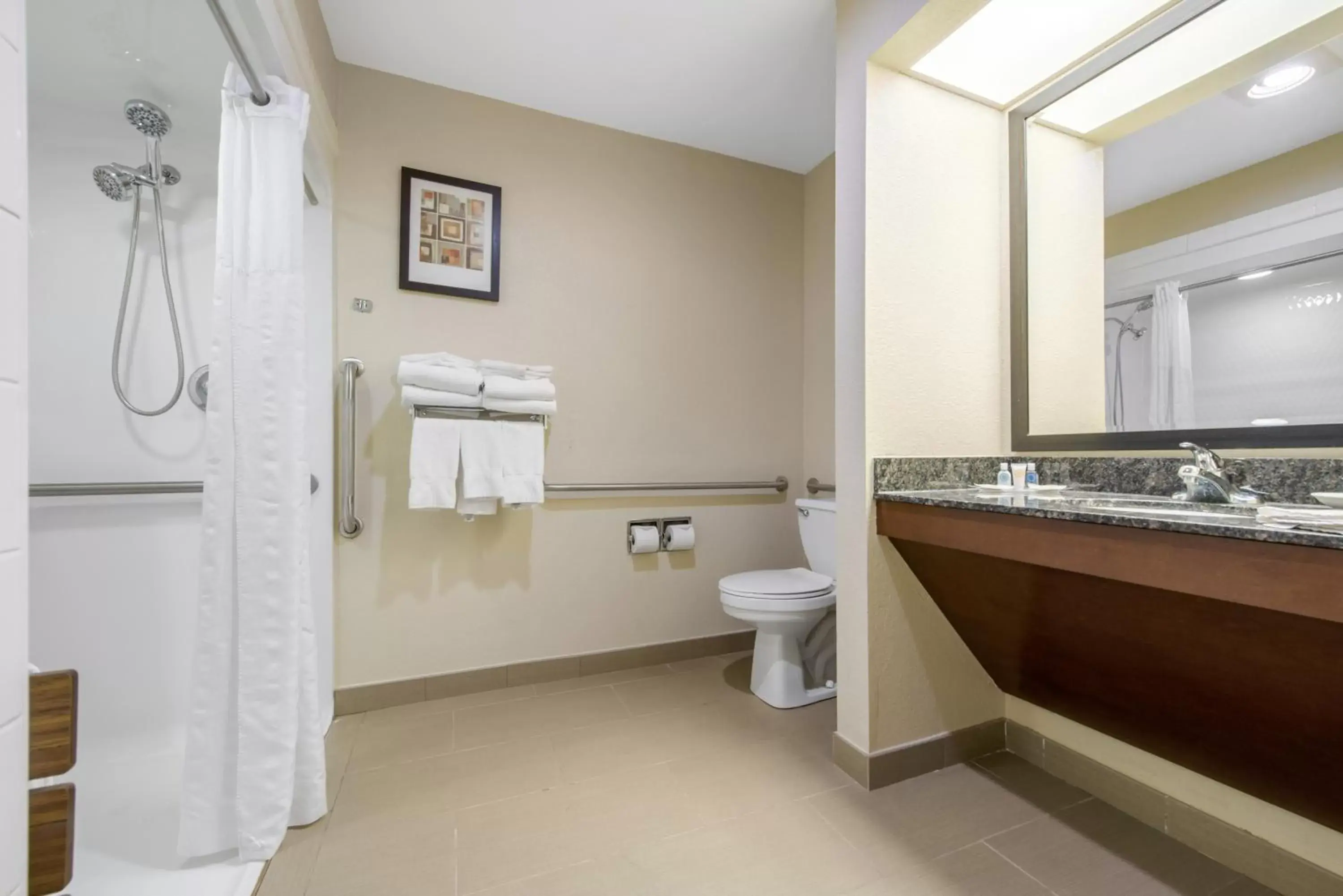 acessibility, Bathroom in Comfort Suites Lafayette University Area