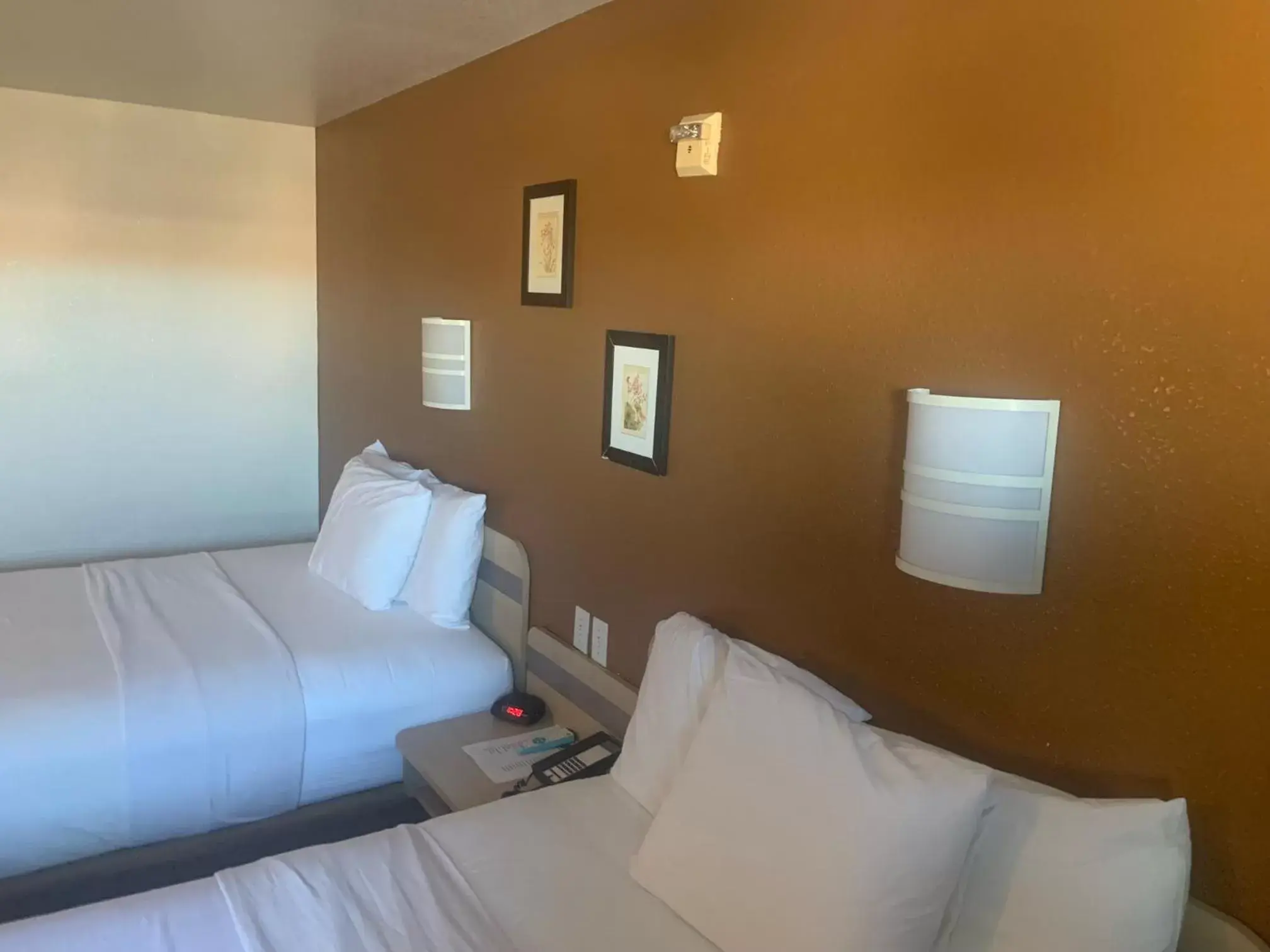 Bed in Quality Inn Yuba City-Marysville