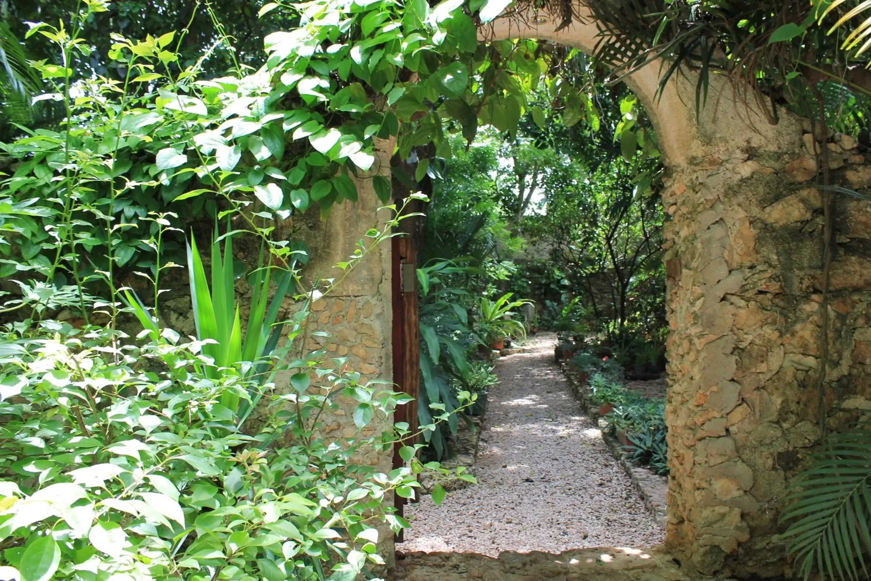 Garden in Casa Quetzal Hotel