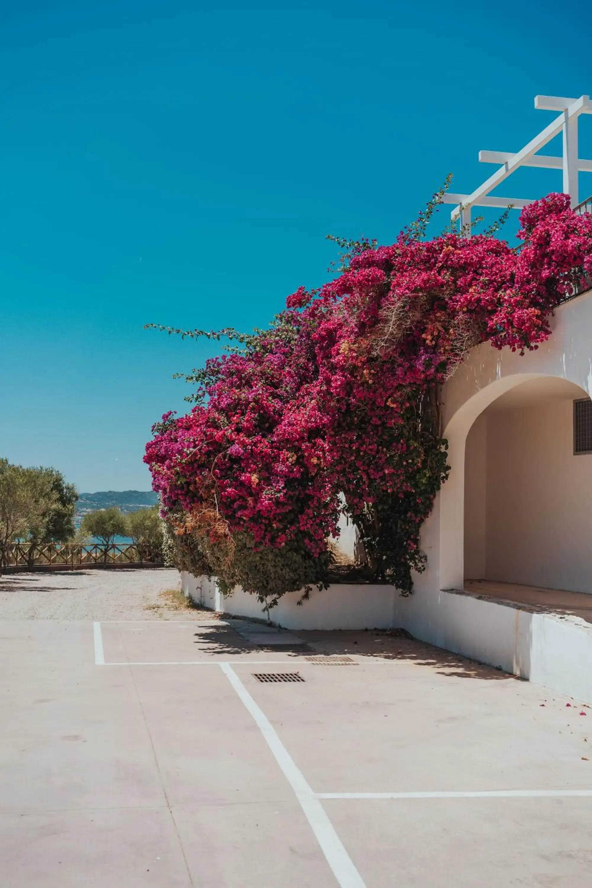 Garden in Hotel dP Olbia - Sardinia