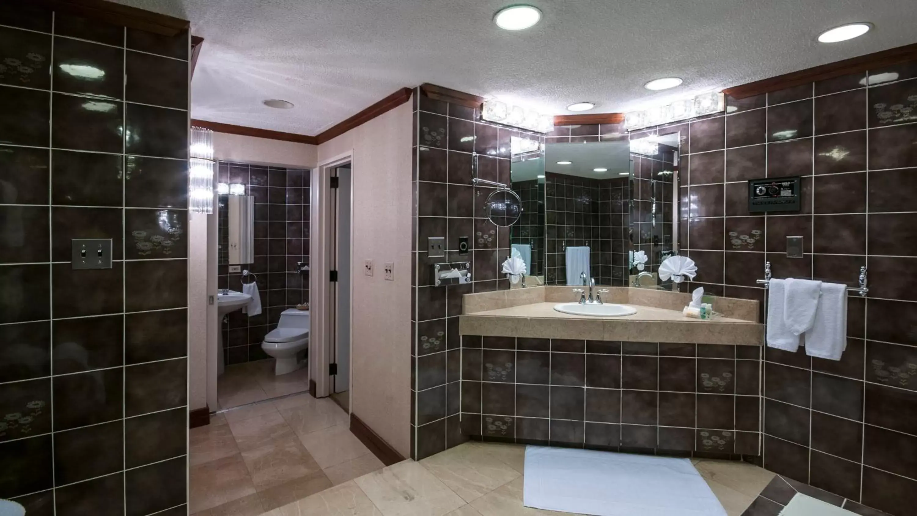 Photo of the whole room, Bathroom in Holiday Inn San Jose Aurola, an IHG Hotel