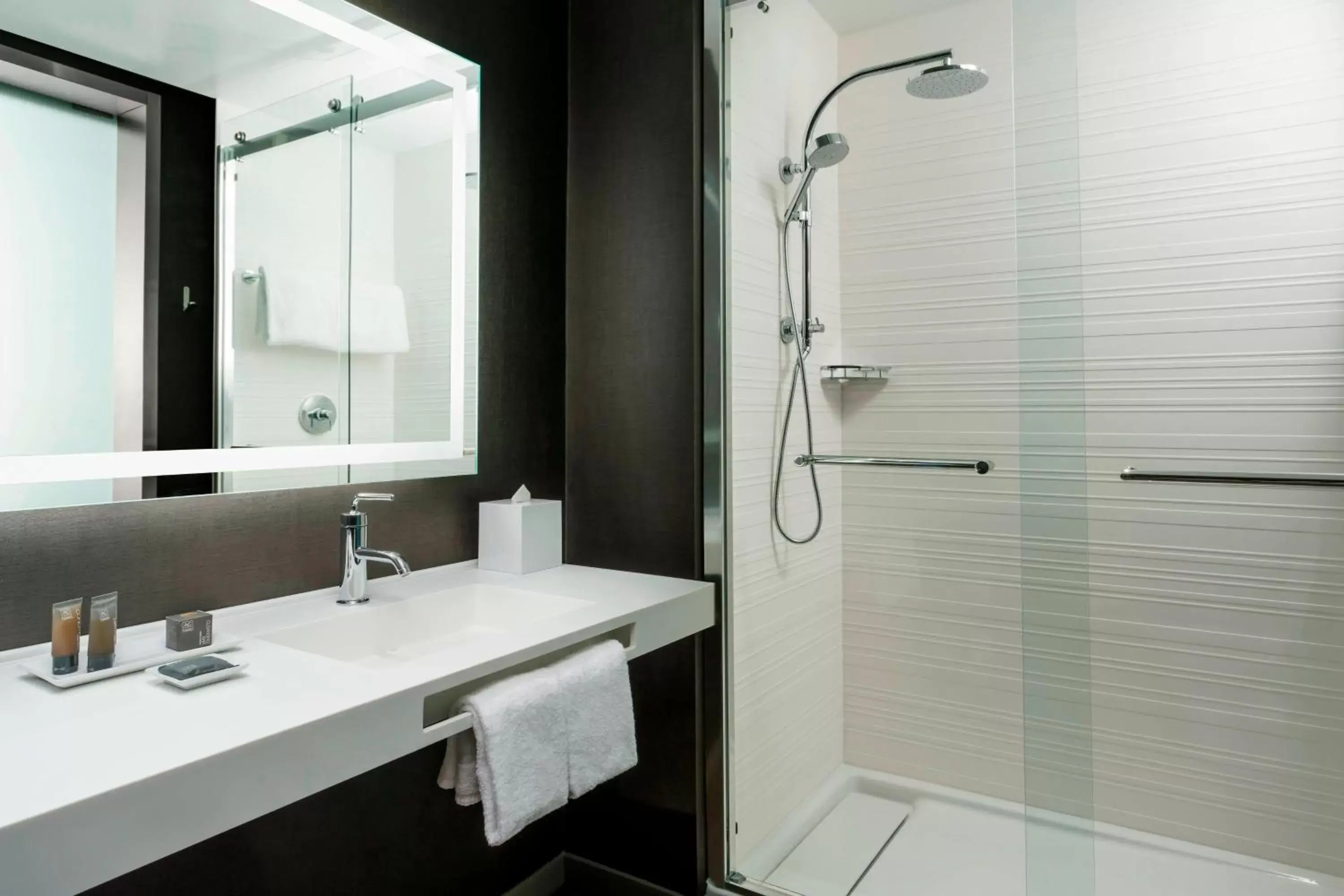 Bathroom in AC Hotel by Marriott Spartanburg