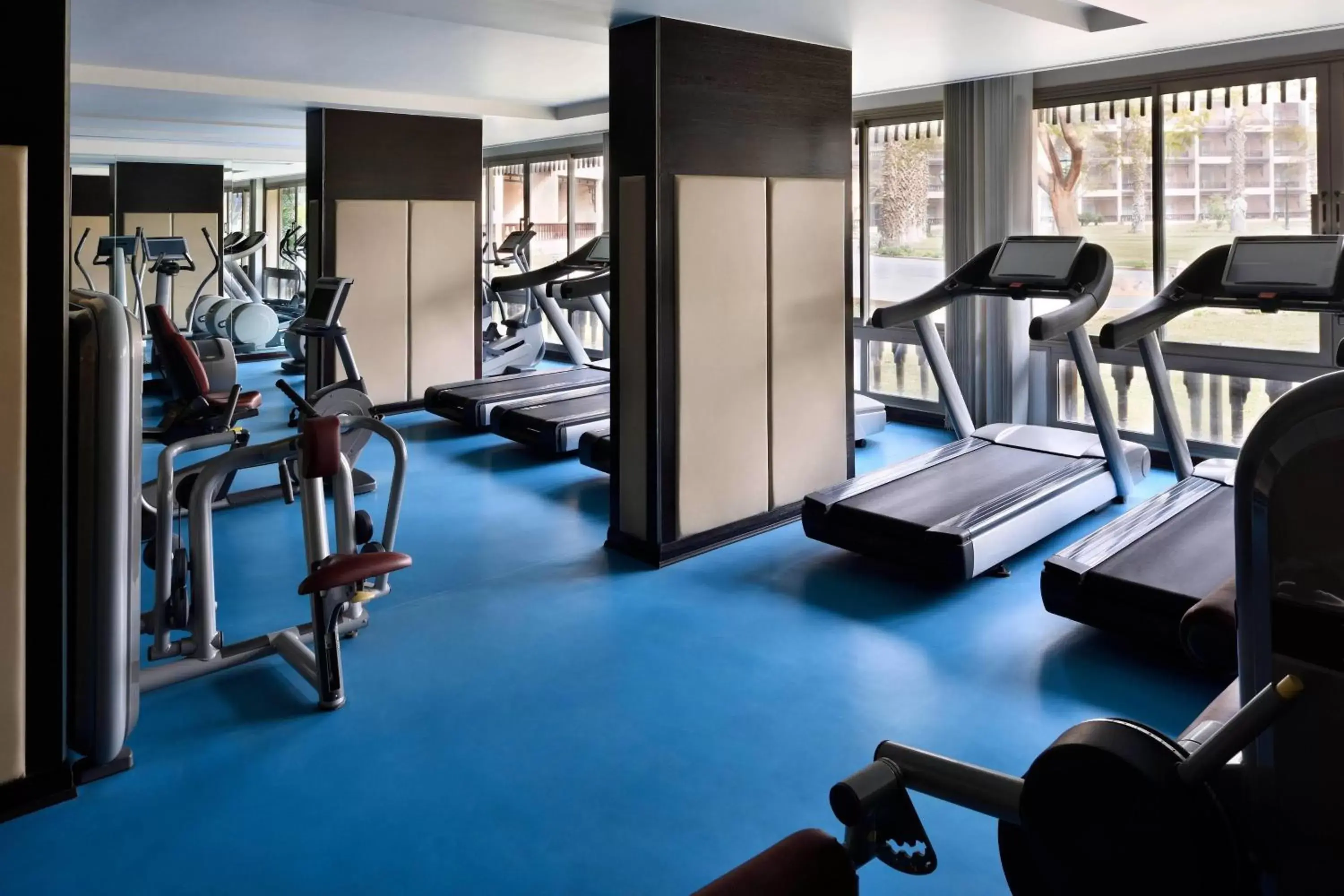 Fitness centre/facilities, Fitness Center/Facilities in Marriott Mena House, Cairo