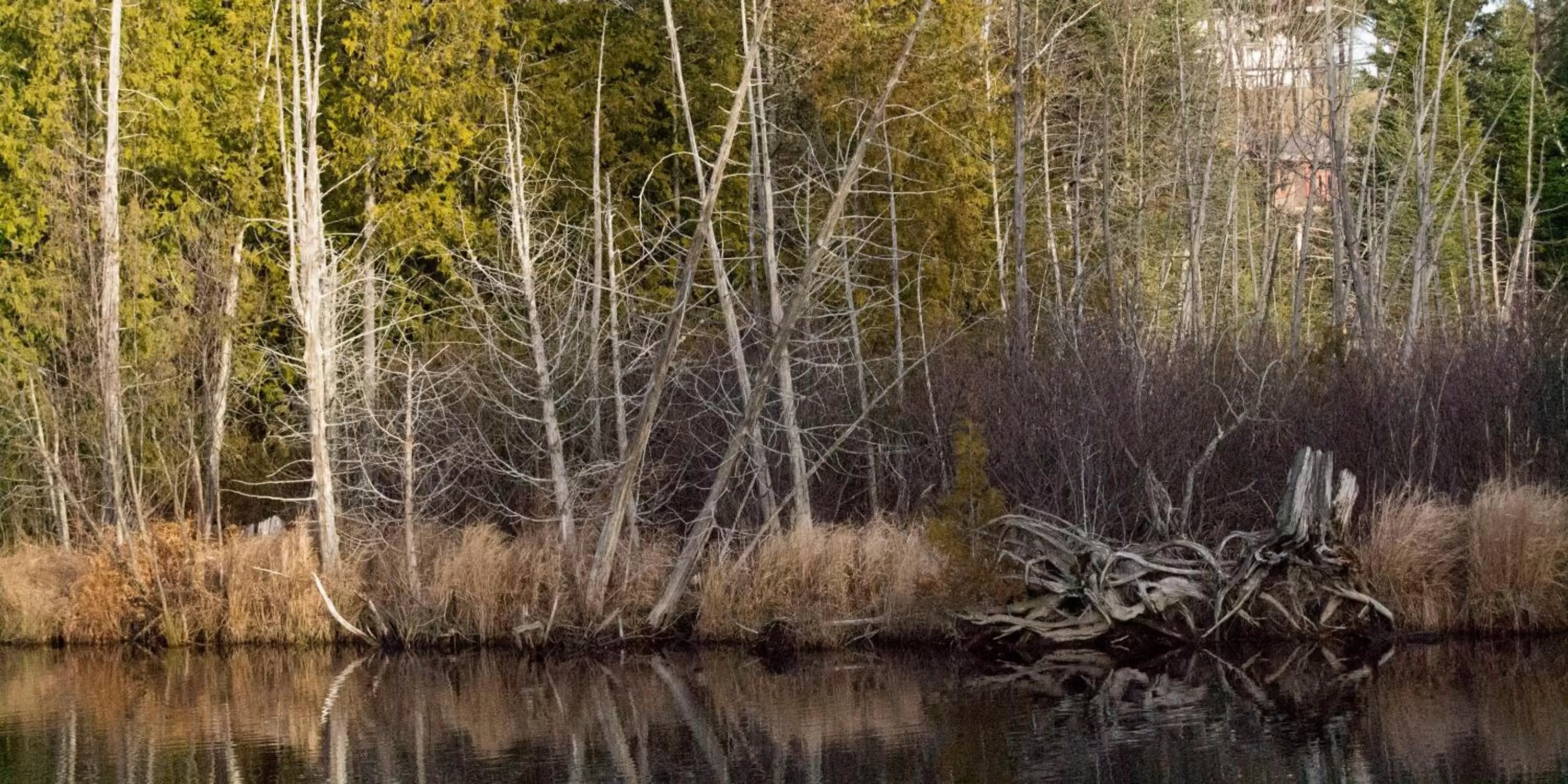 Other in Lake Placid Inn: Residences