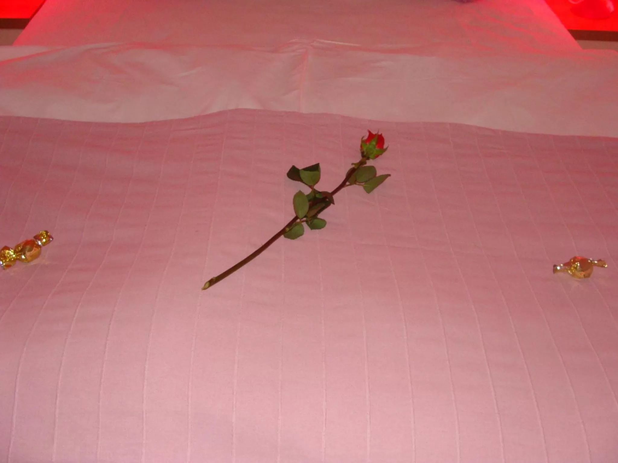 Decorative detail in Lugarnica