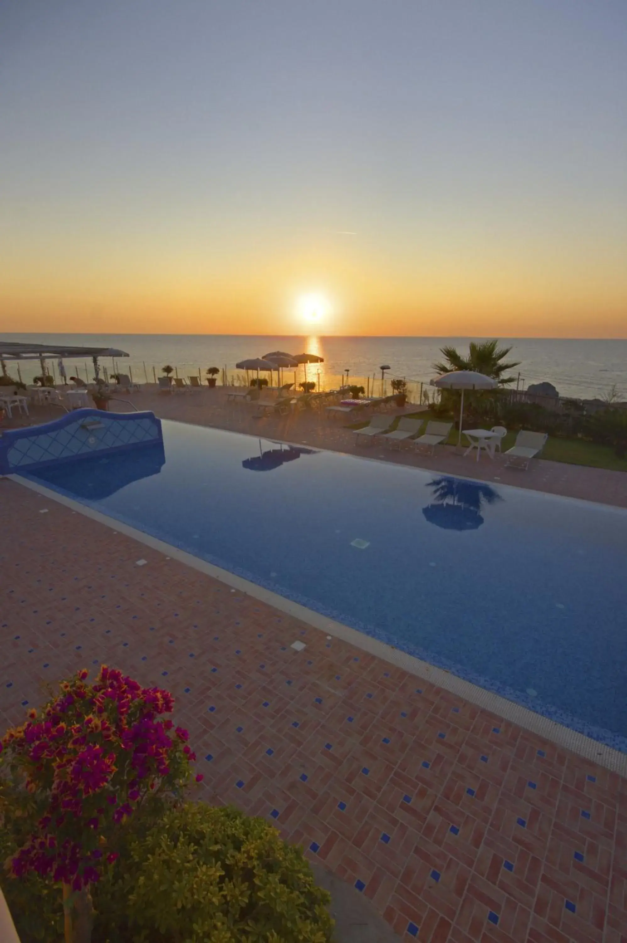 Swimming Pool in Hotel Albatros