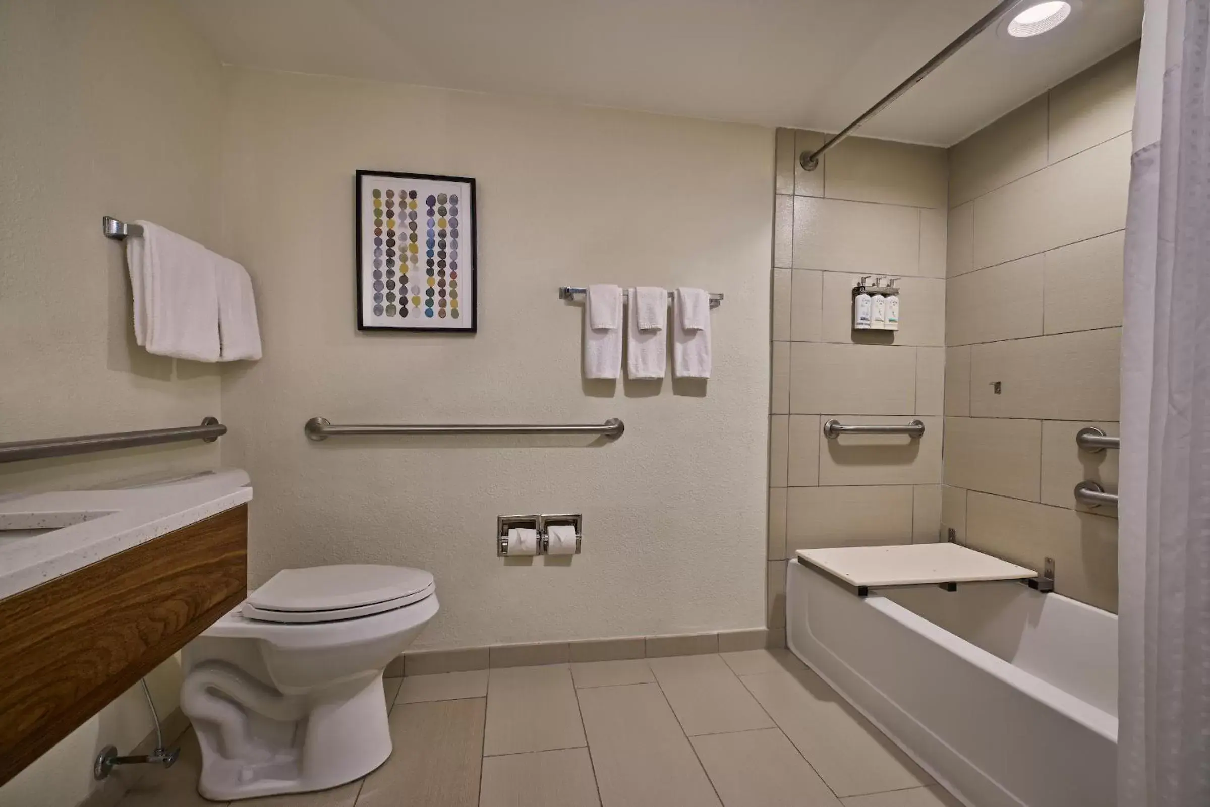 Bathroom in Holiday Inn Express & Suites Charleston DWTN -Westedge, an IHG Hotel