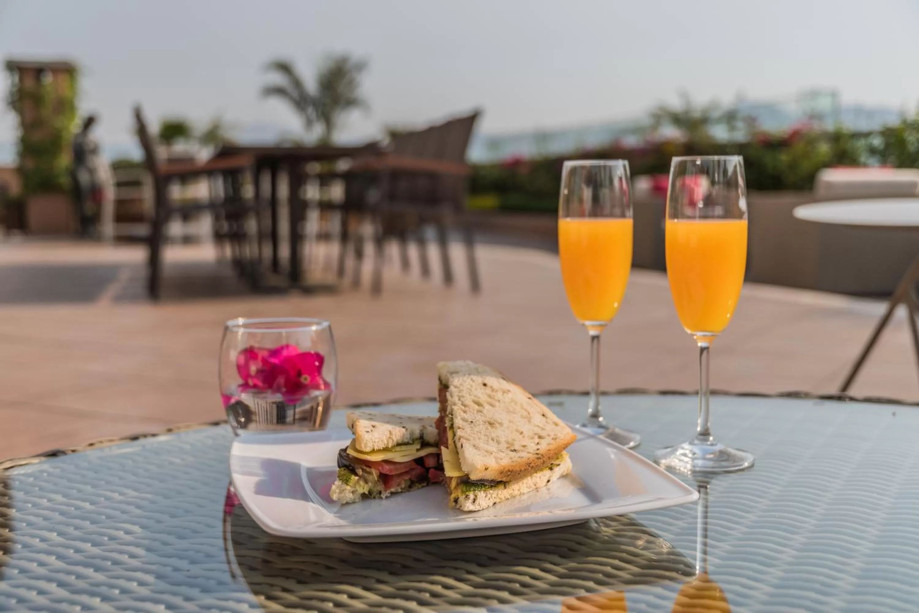 Balcony/Terrace in Suites Perisur Apartamentos Amueblados