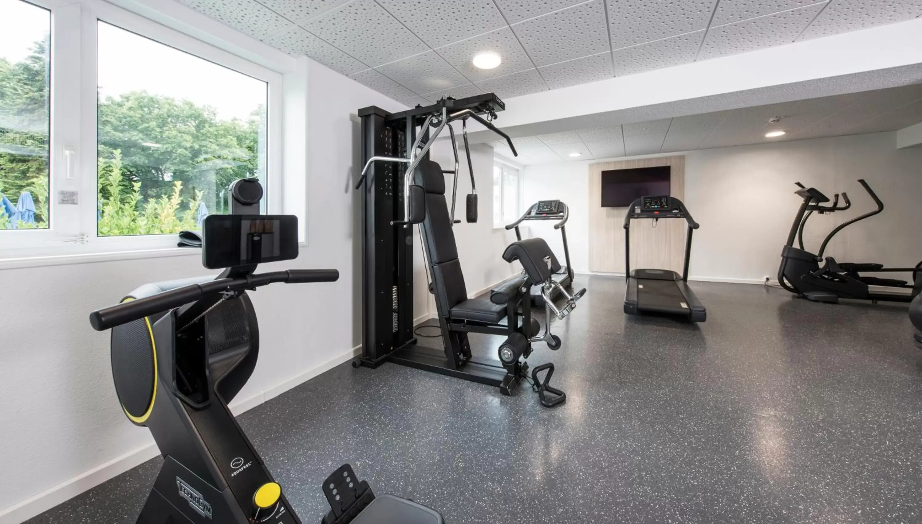 Fitness centre/facilities, Fitness Center/Facilities in Novotel Rennes Alma