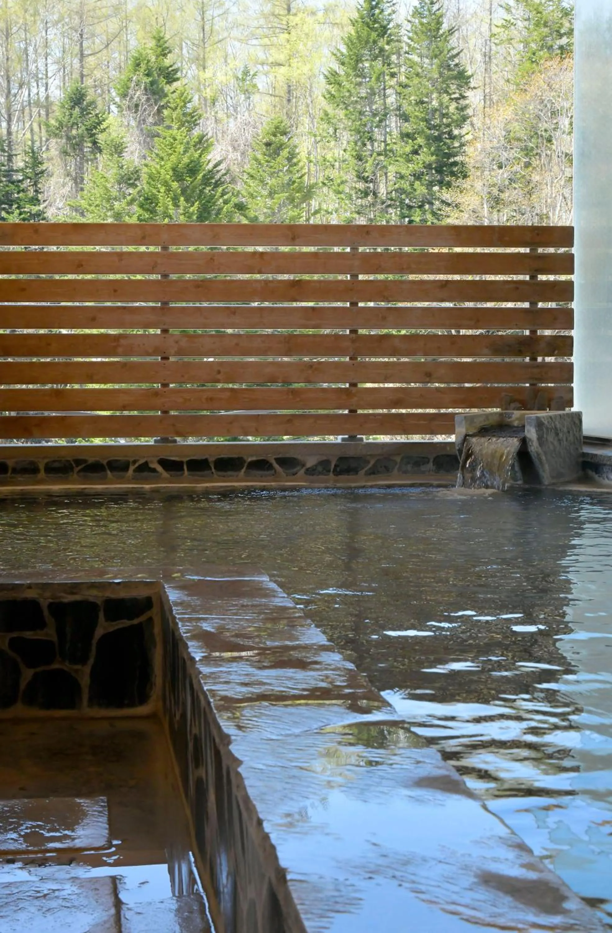 Niseko Prince Hotel Hirafutei