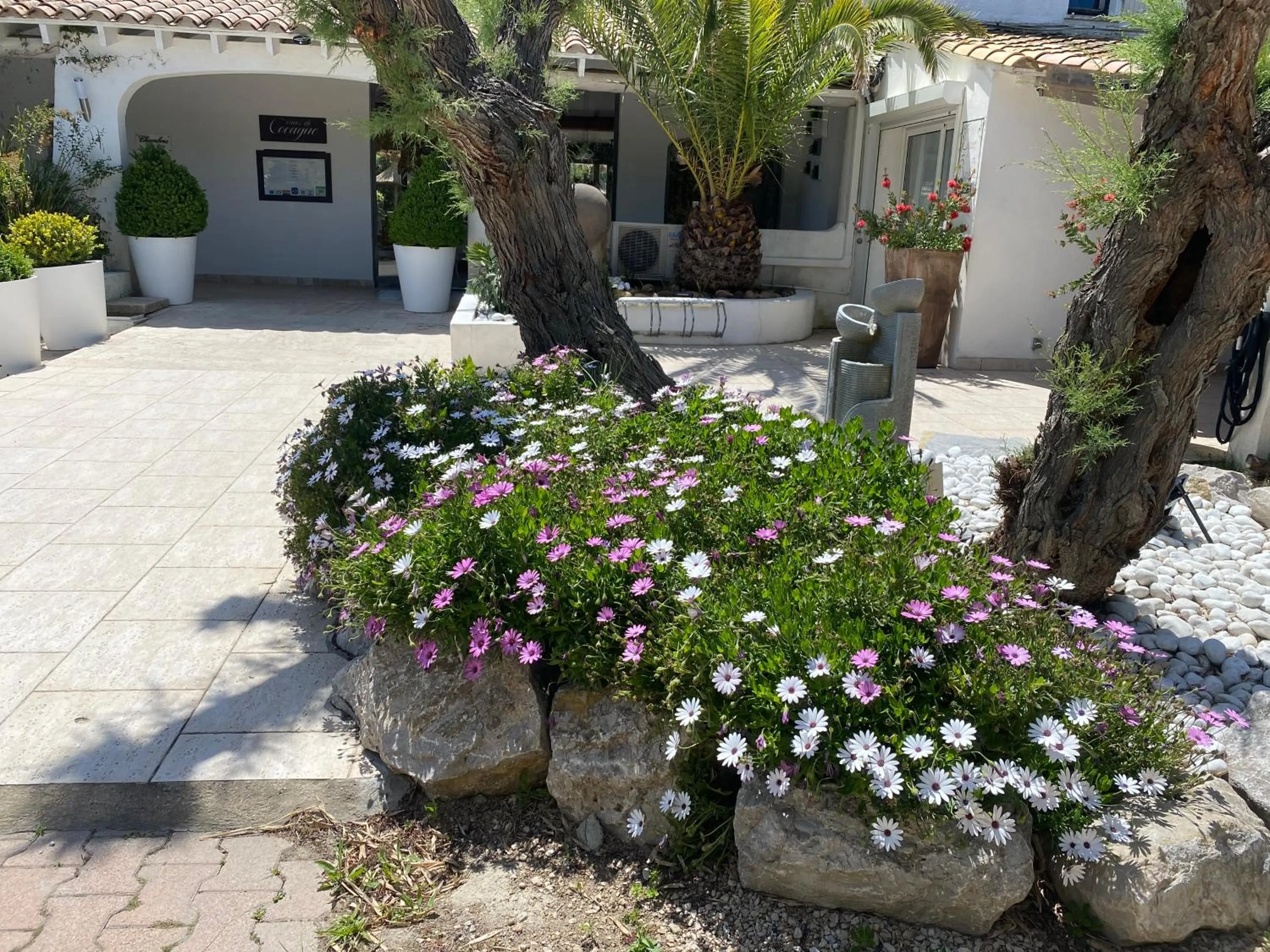 Garden in Le Mas de Cocagne