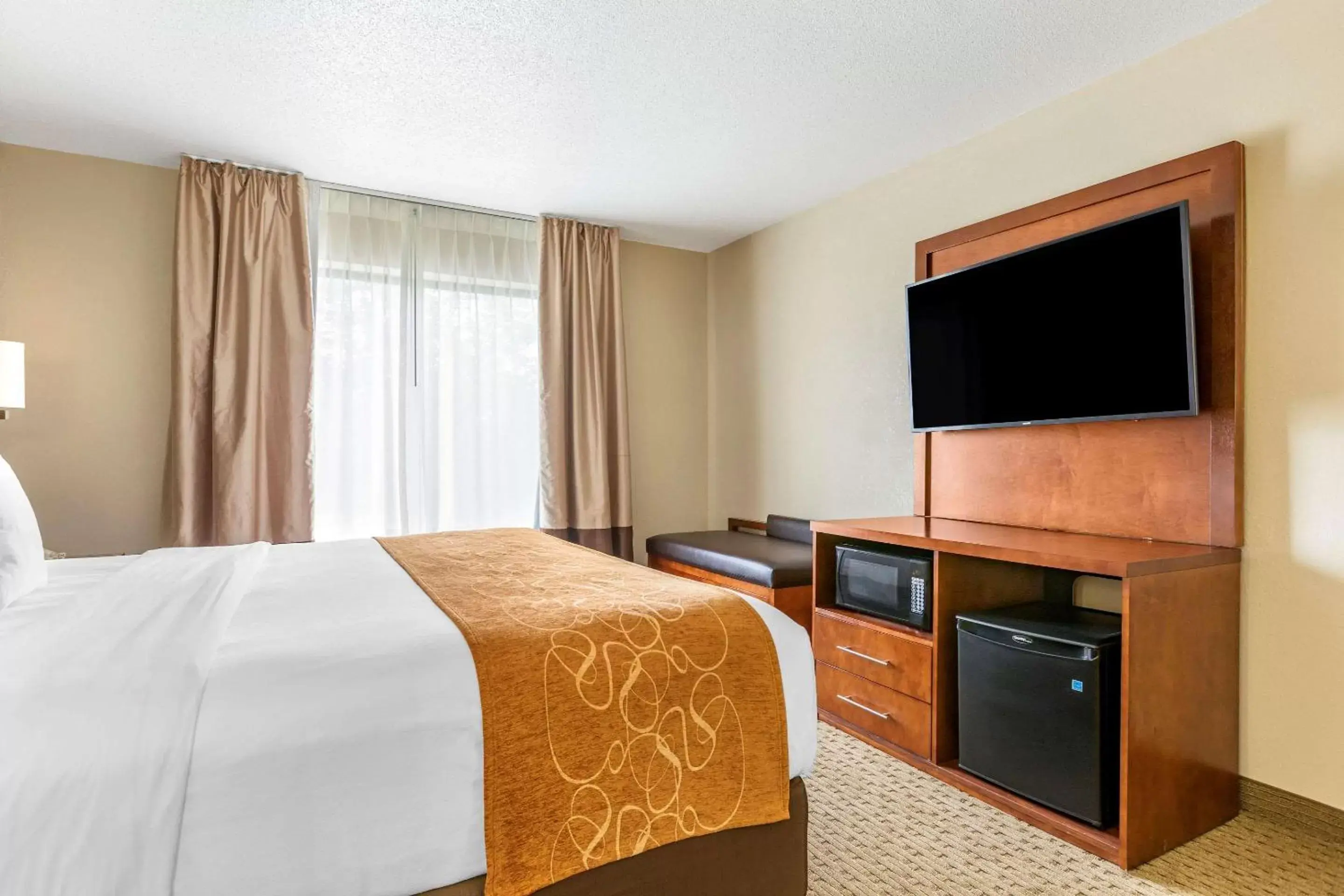 Photo of the whole room, Room Photo in Comfort Suites Grand Rapids North