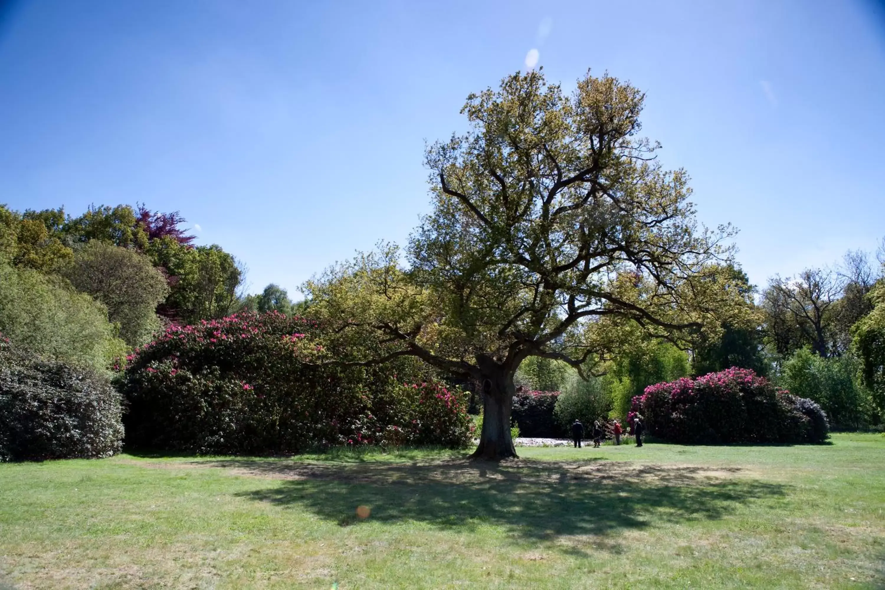 Day, Garden in Petwood Hotel