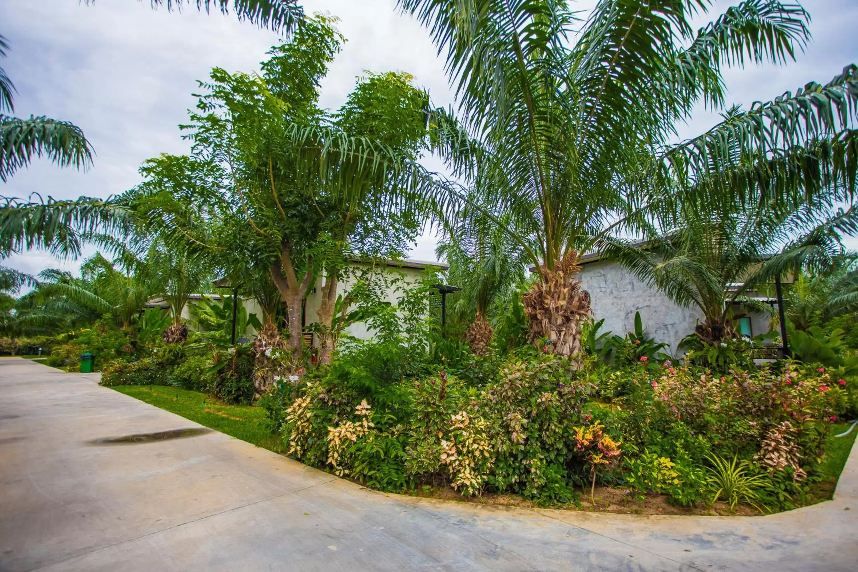 Natural landscape, Garden in Palm Pran Resort
