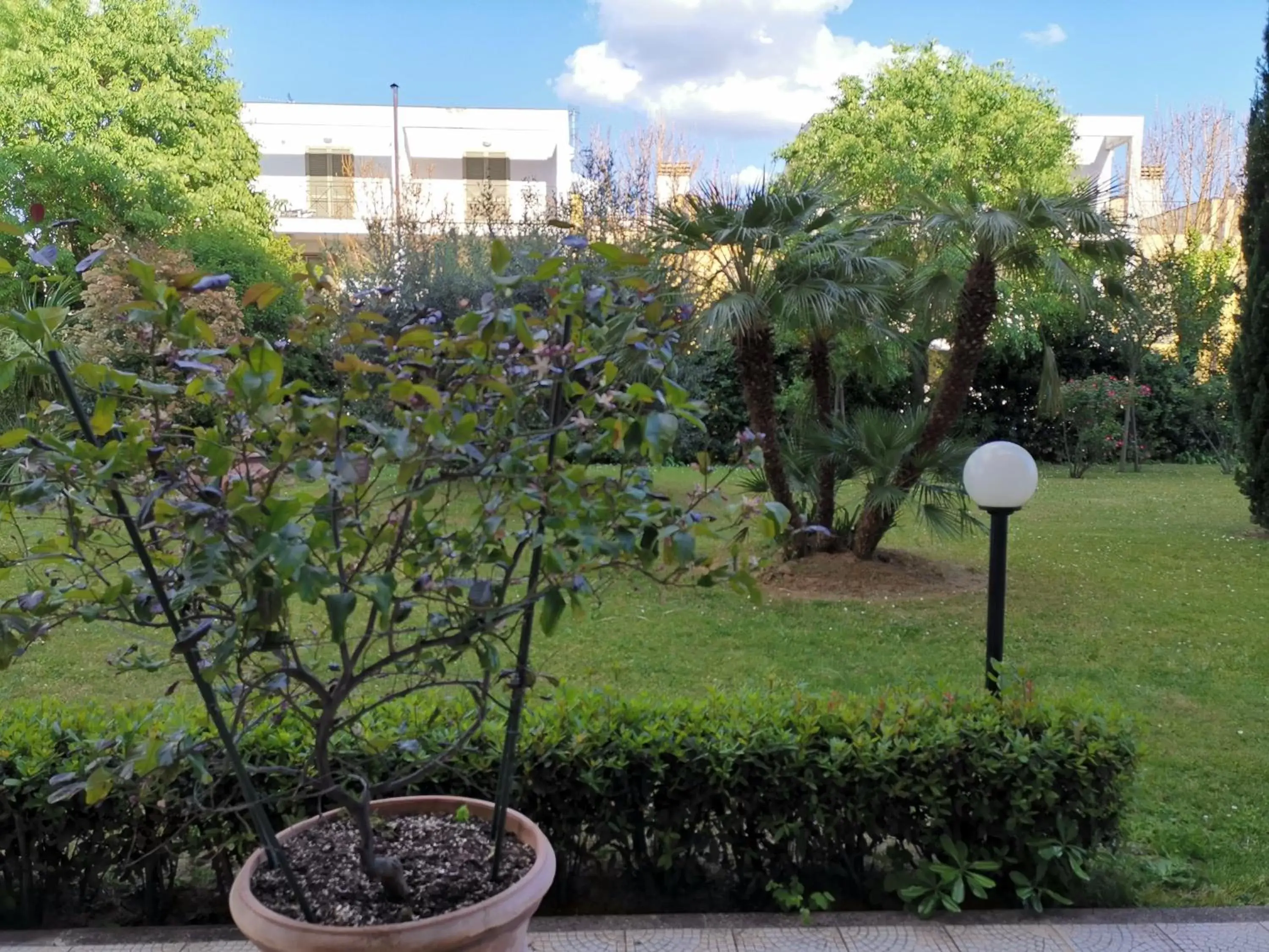 Garden in Charme Hotel