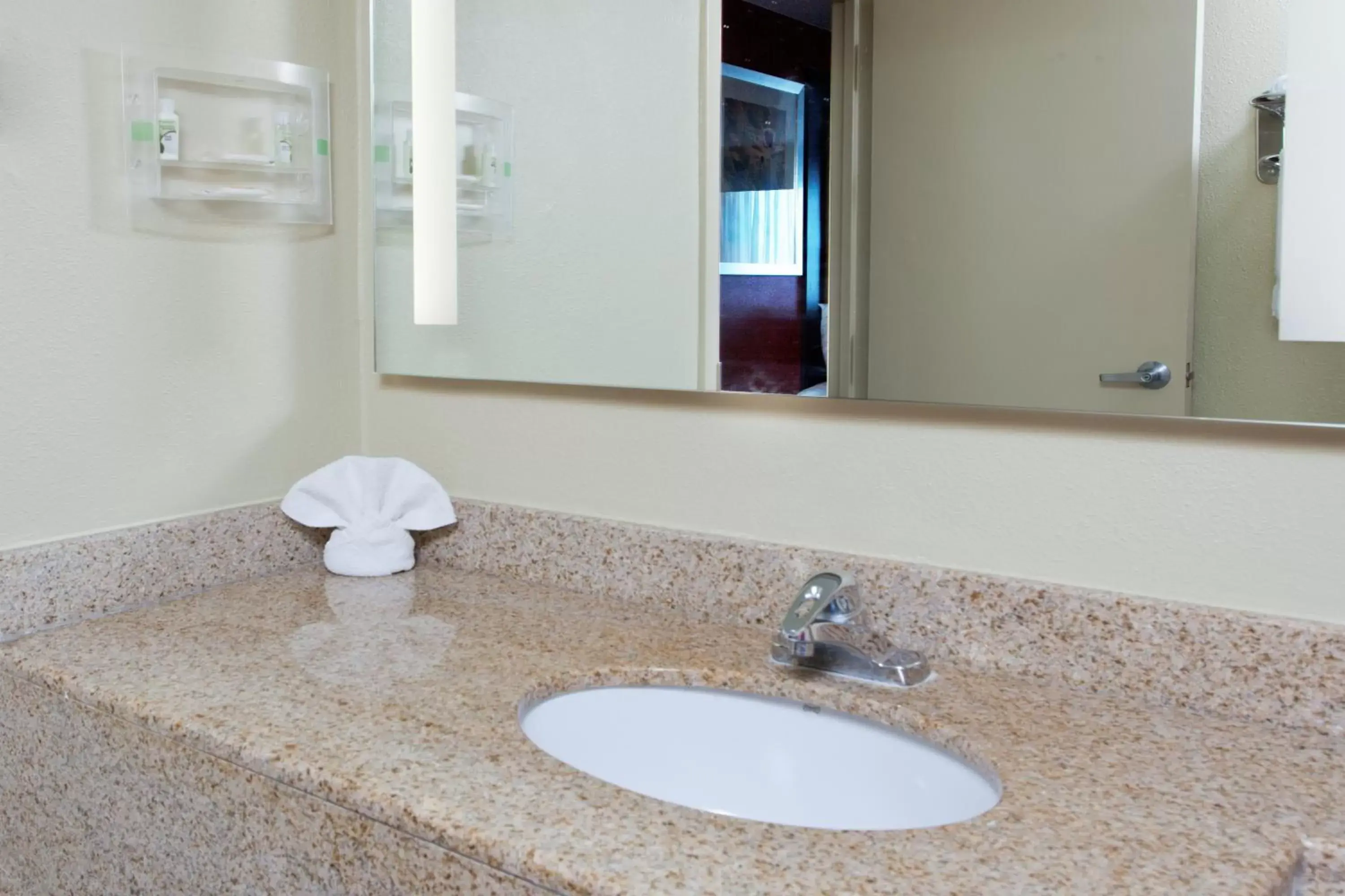 Bathroom in Holiday Inn Shreveport Downtown, an IHG Hotel