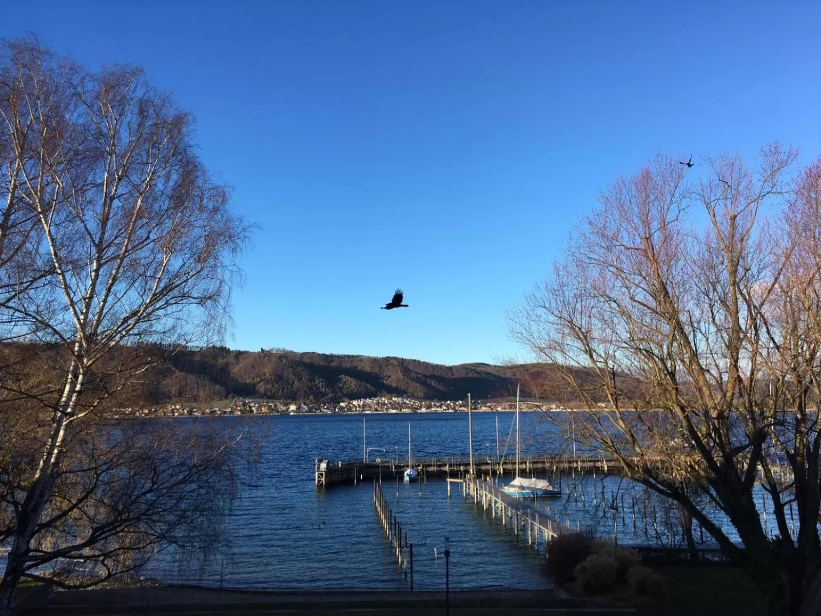 Lake view in Seehotel Villa Linde