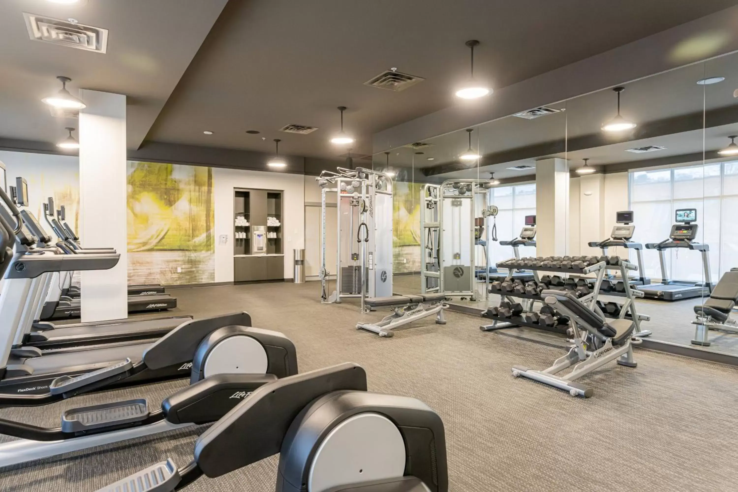 Fitness centre/facilities, Fitness Center/Facilities in Courtyard Asheville Biltmore Village