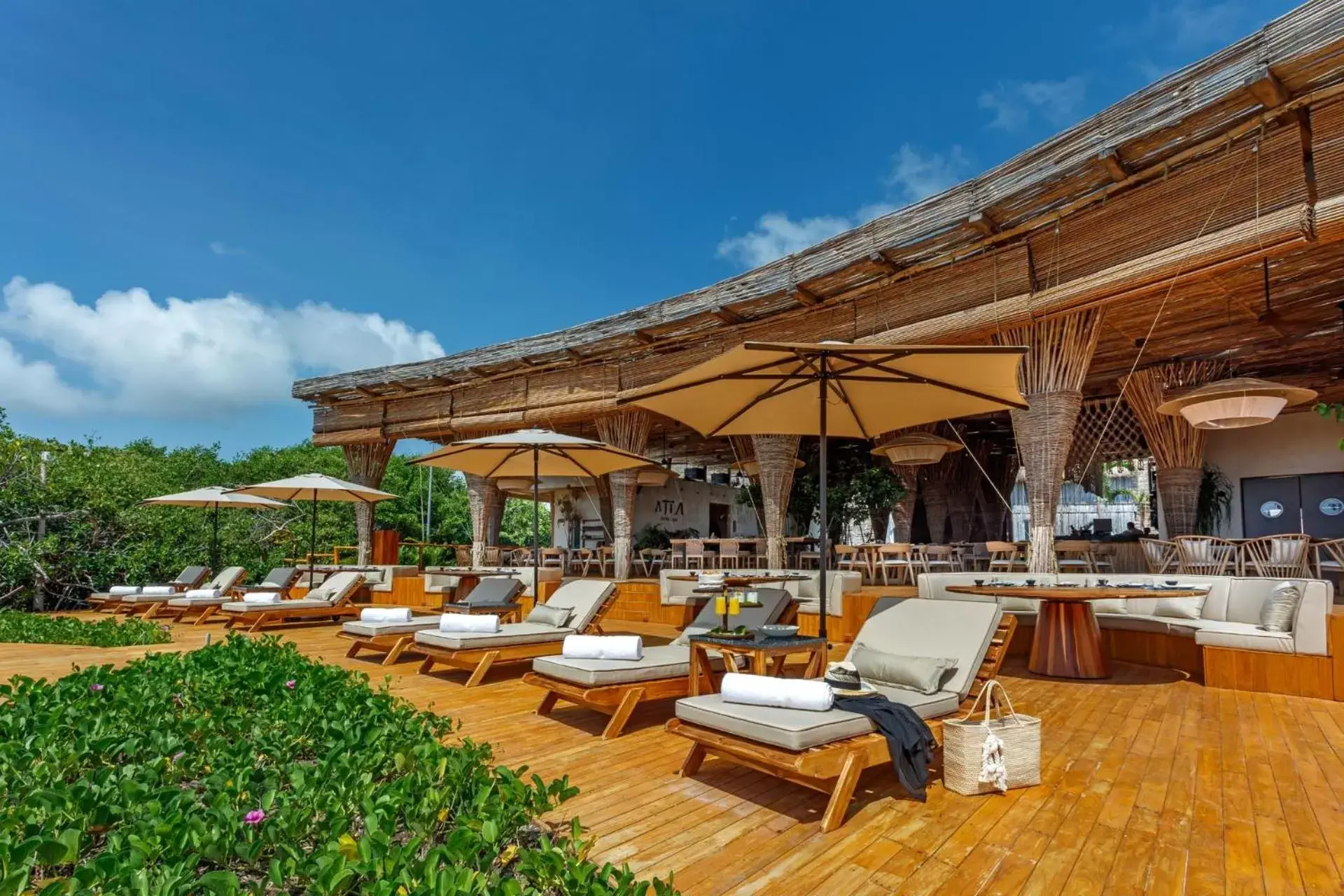 Restaurant/places to eat in Hotel Shibari - Restaurant & Cenote Club