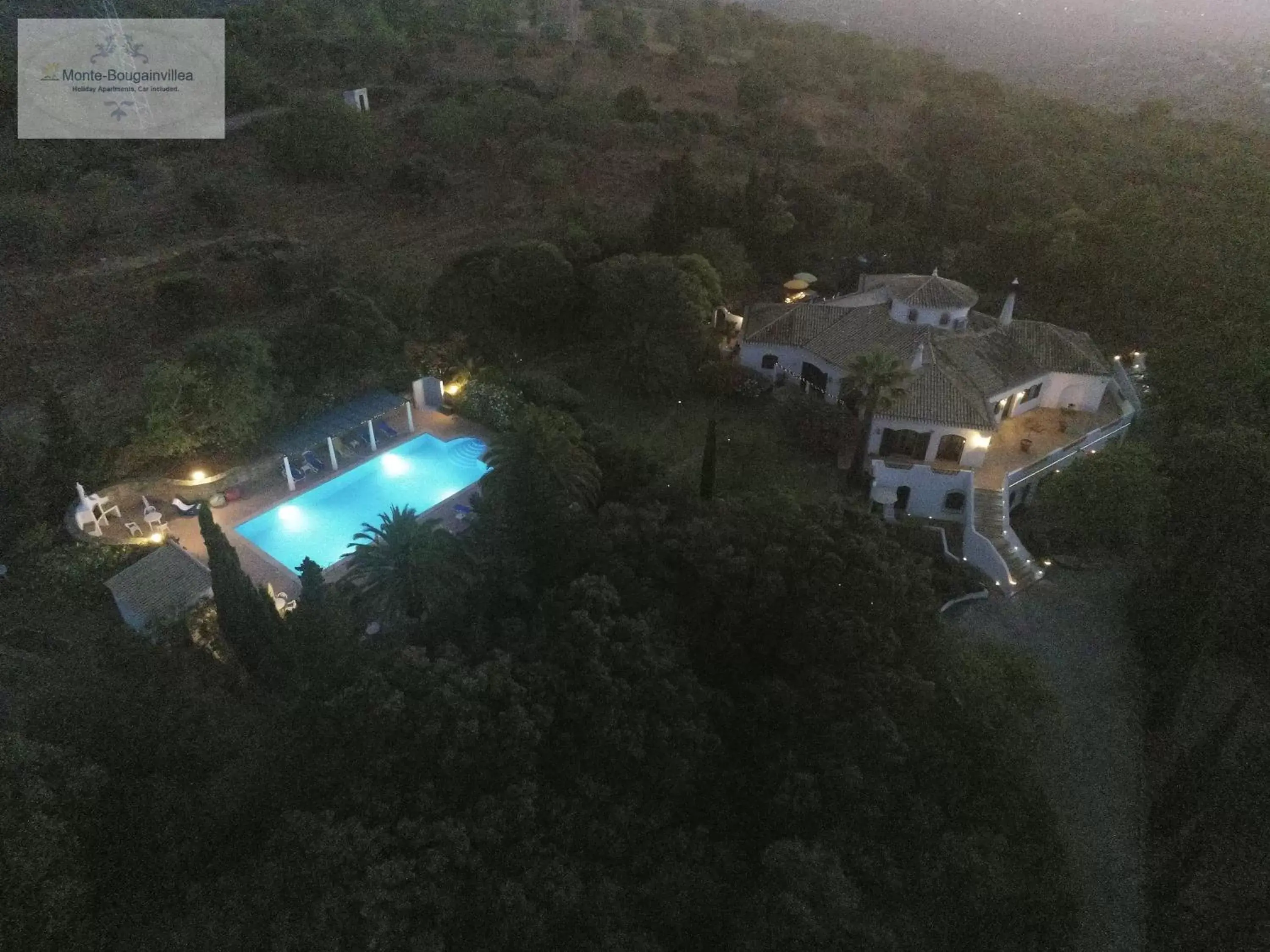 Swimming pool, Bird's-eye View in Monte-Bougainvillea