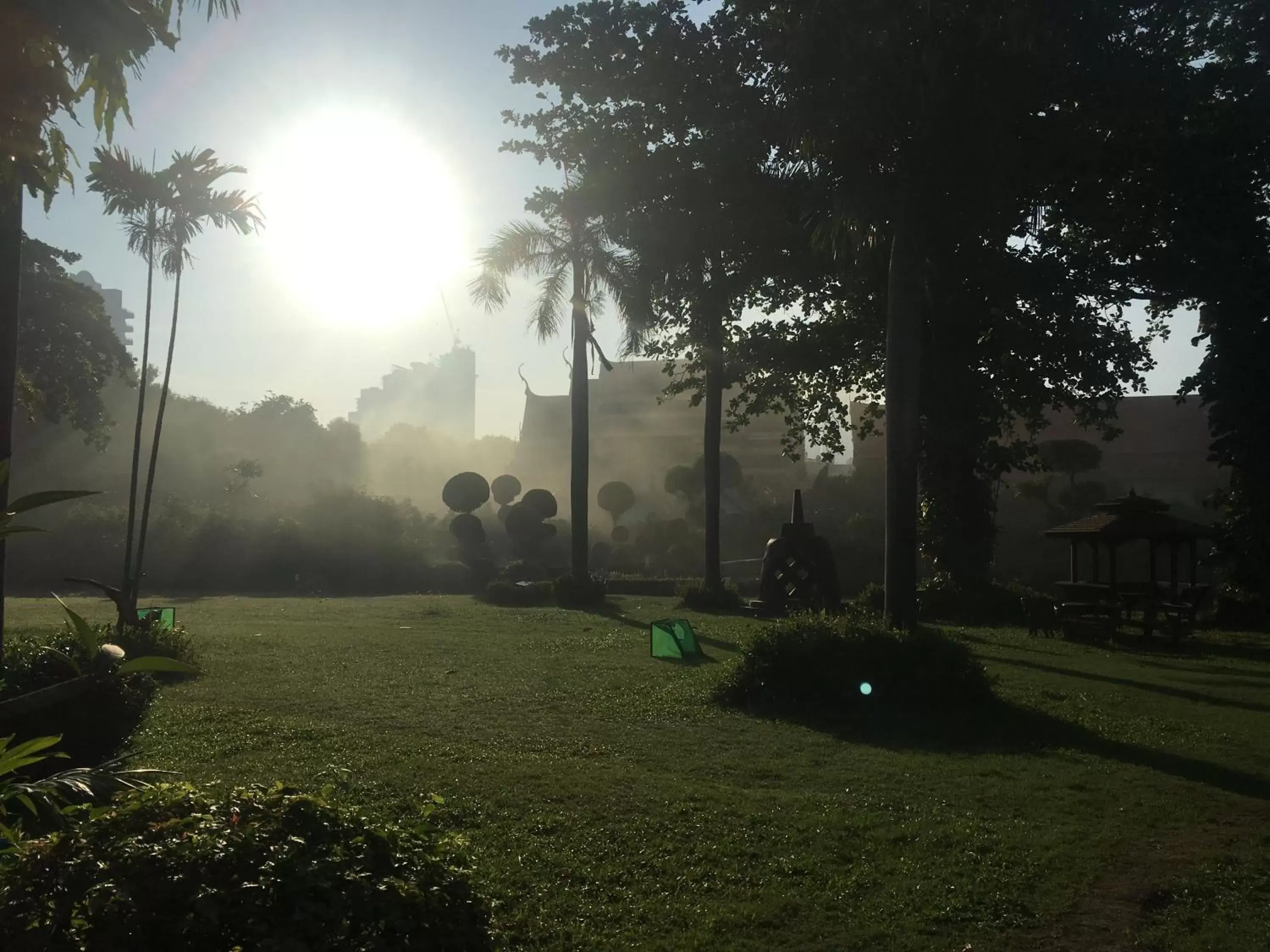 Garden in Grand Jomtien Palace Hotel - SHA Extra Plus