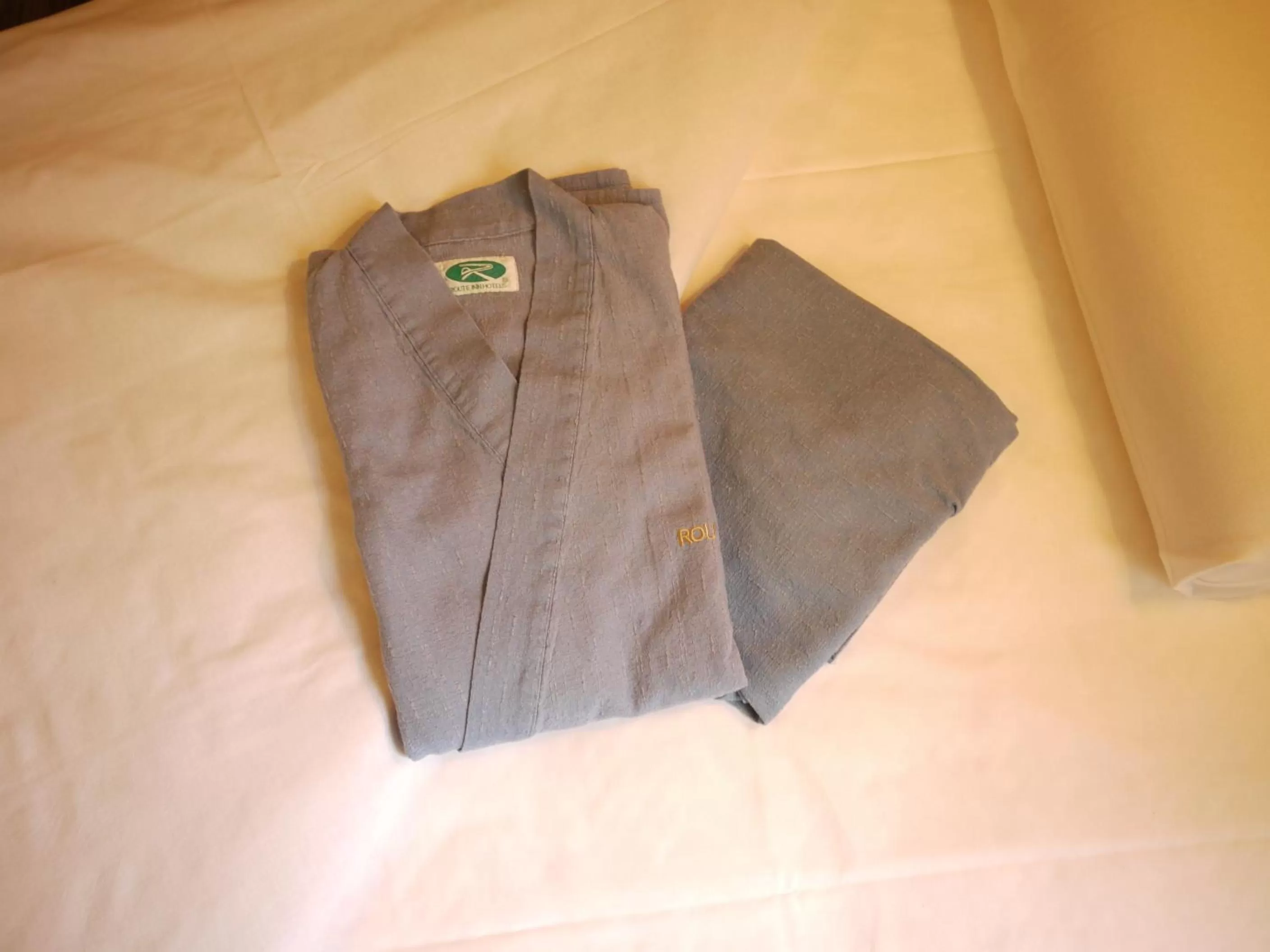 Decorative detail in Hotel Route-Inn Yanagawa Ekimae