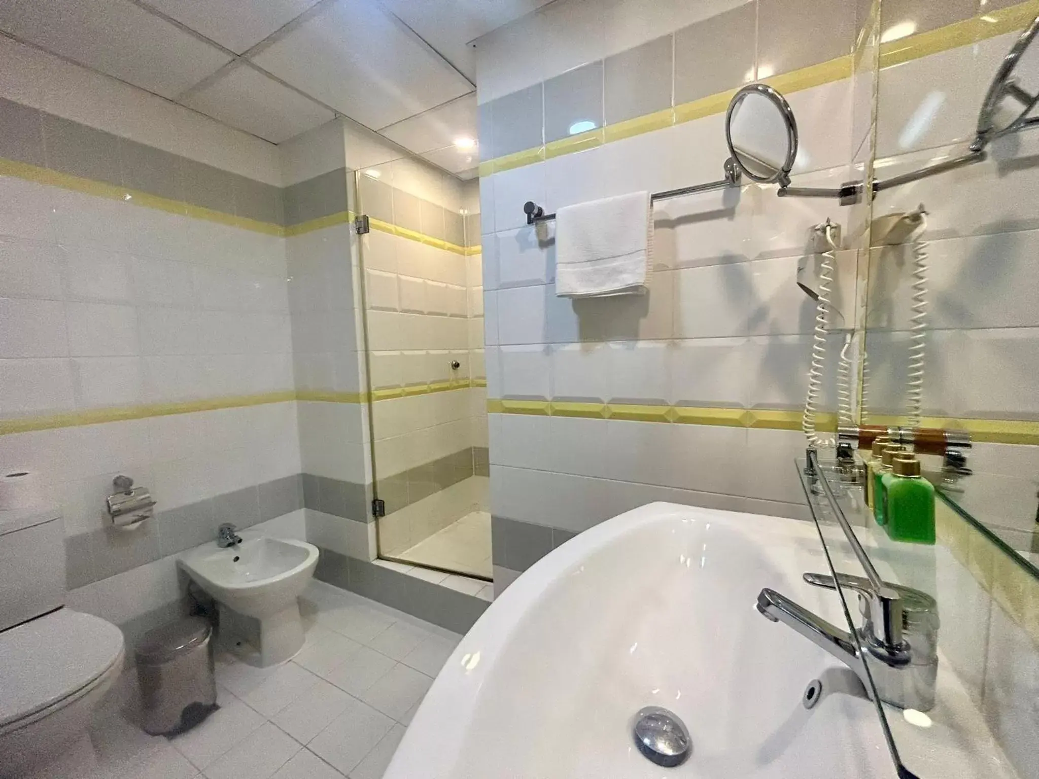 Toilet, Bathroom in Elite Seef Residence And Hotel