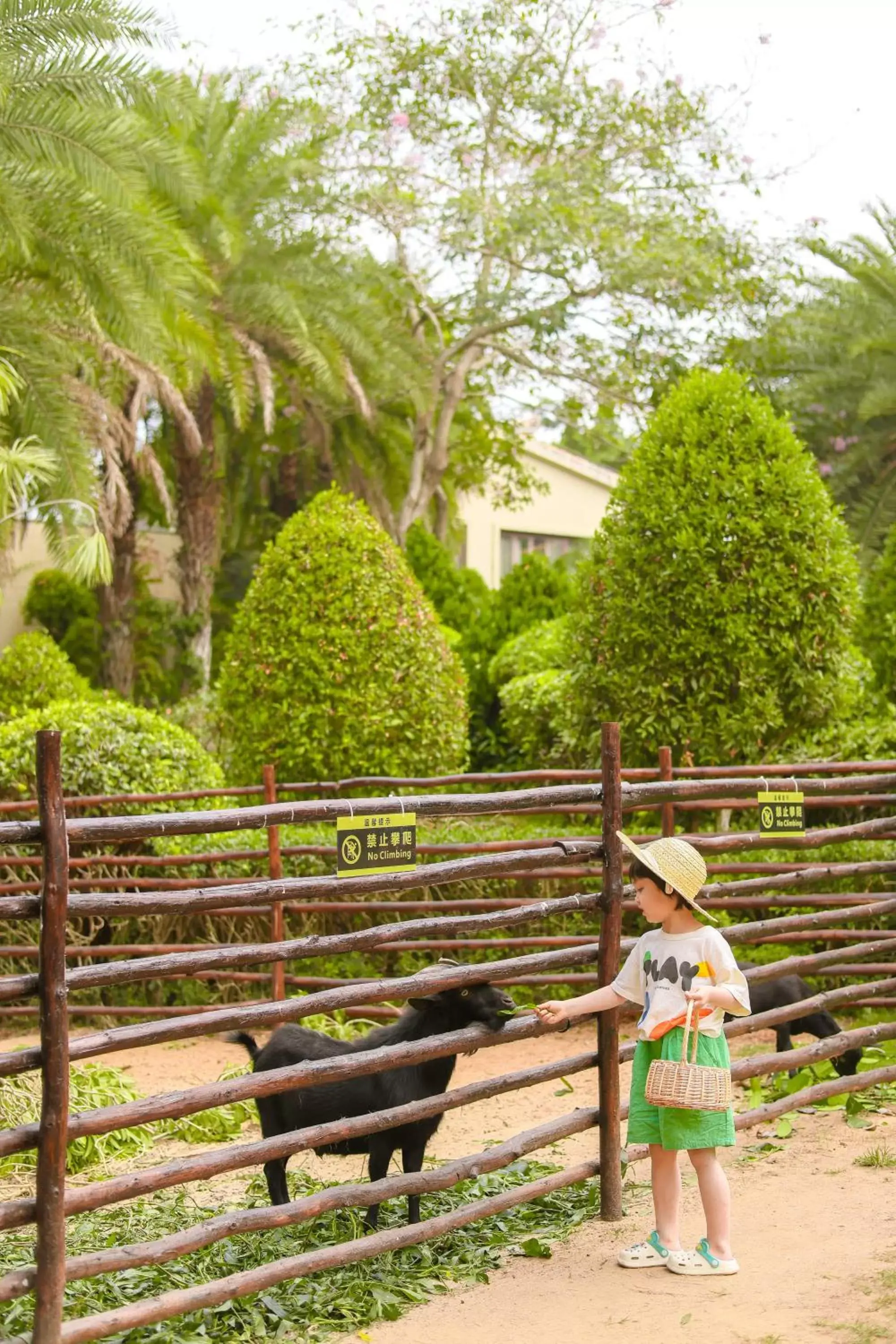 Children play ground in Sheraton Sanya Haitang Bay Resort