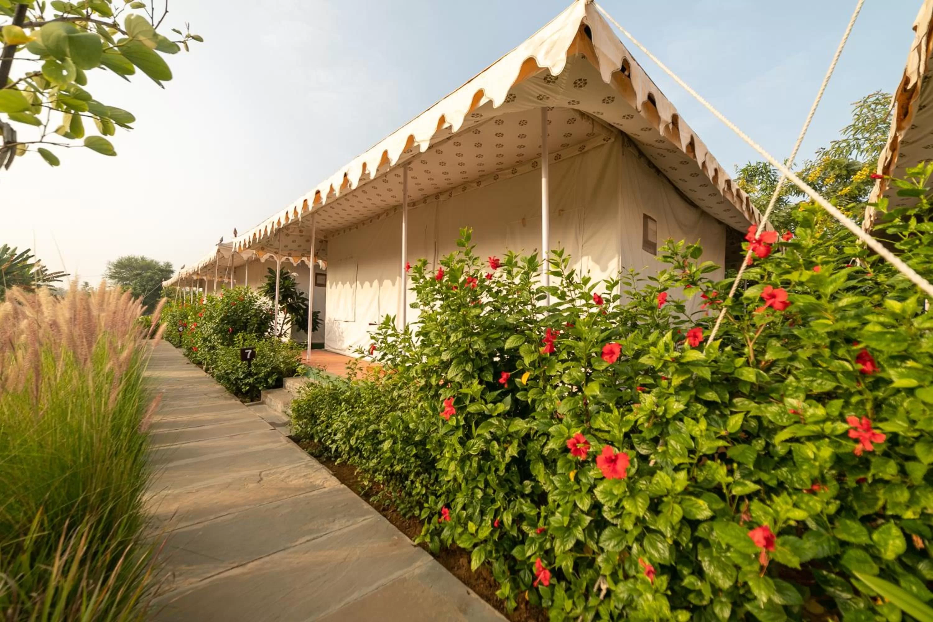 Property building in Madho Bagh