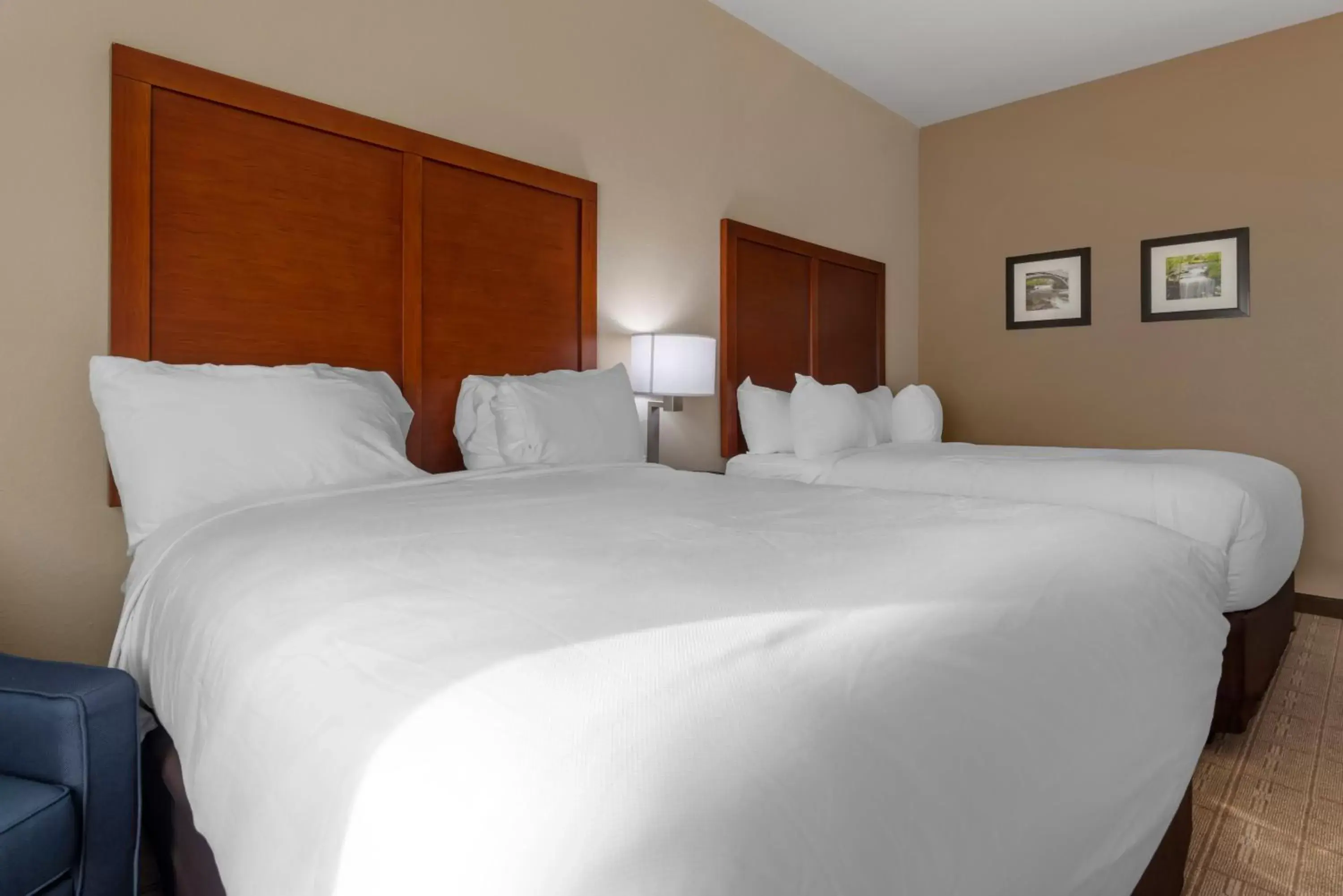 Bed in Comfort Inn & Suites North Mankato Bed in Comfort Inn & Suites North Mankato