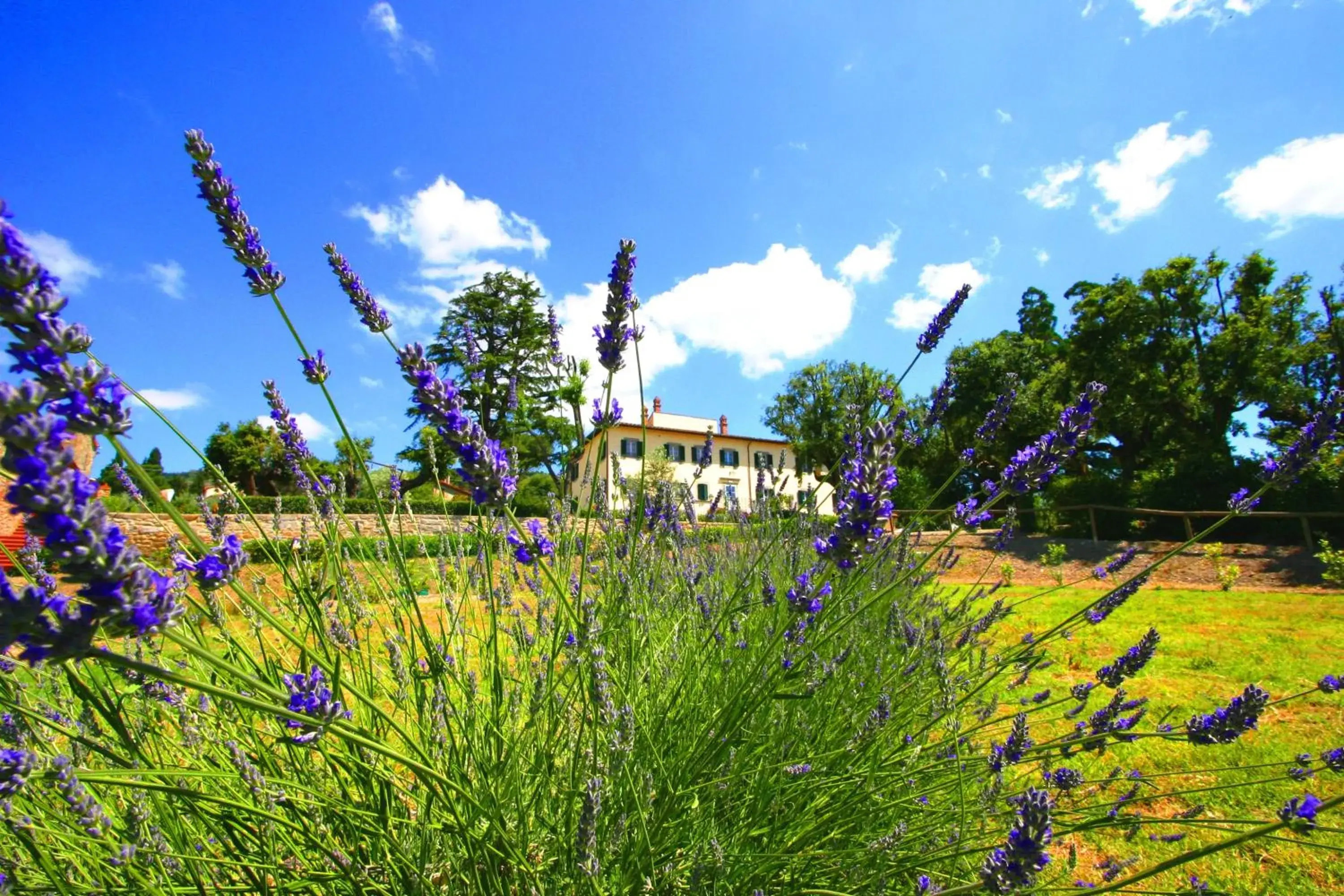 Facade/entrance, Children's Play Area in Cortona Resort & Spa - Villa Aurea