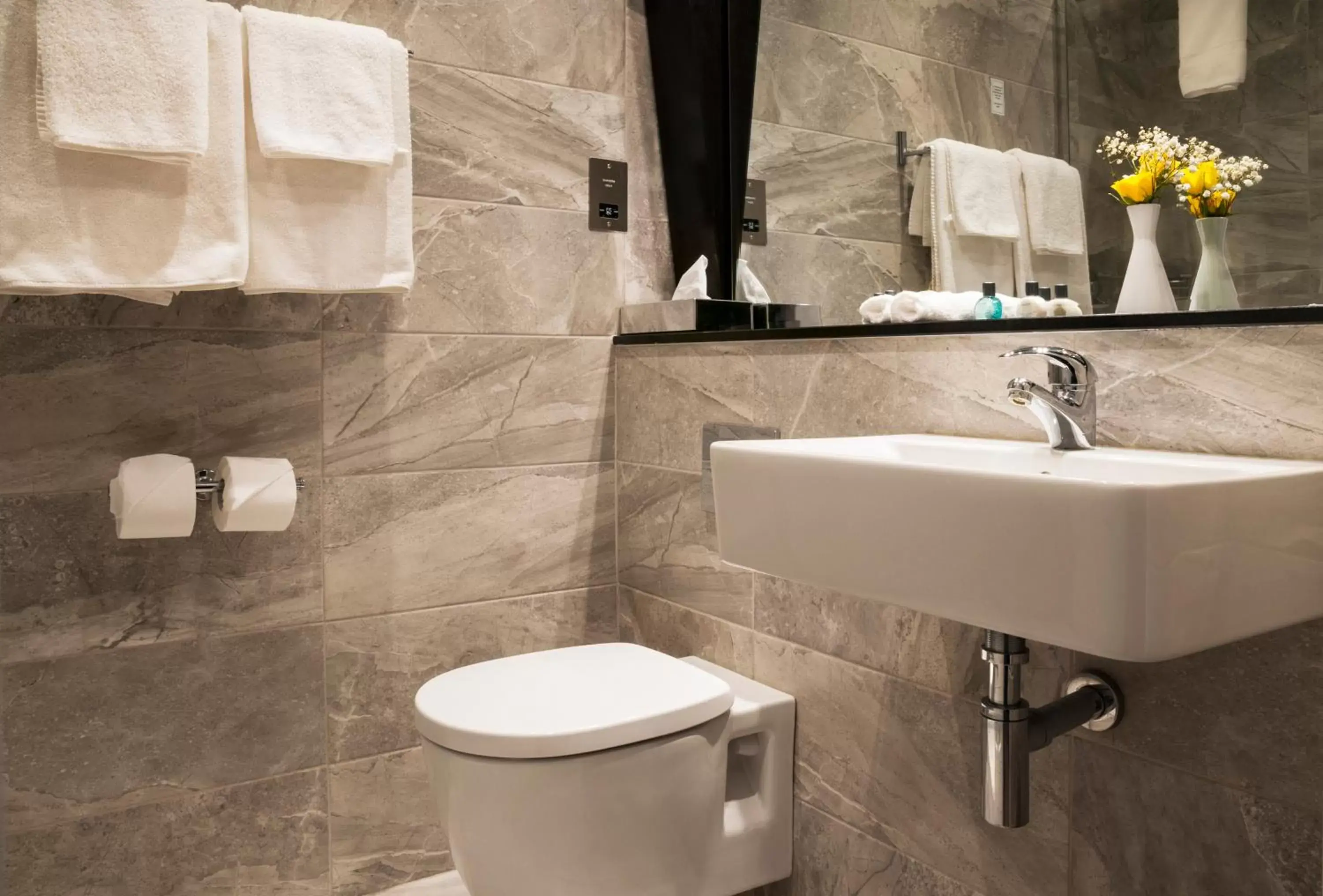 Toilet, Bathroom in Flannery's Hotel