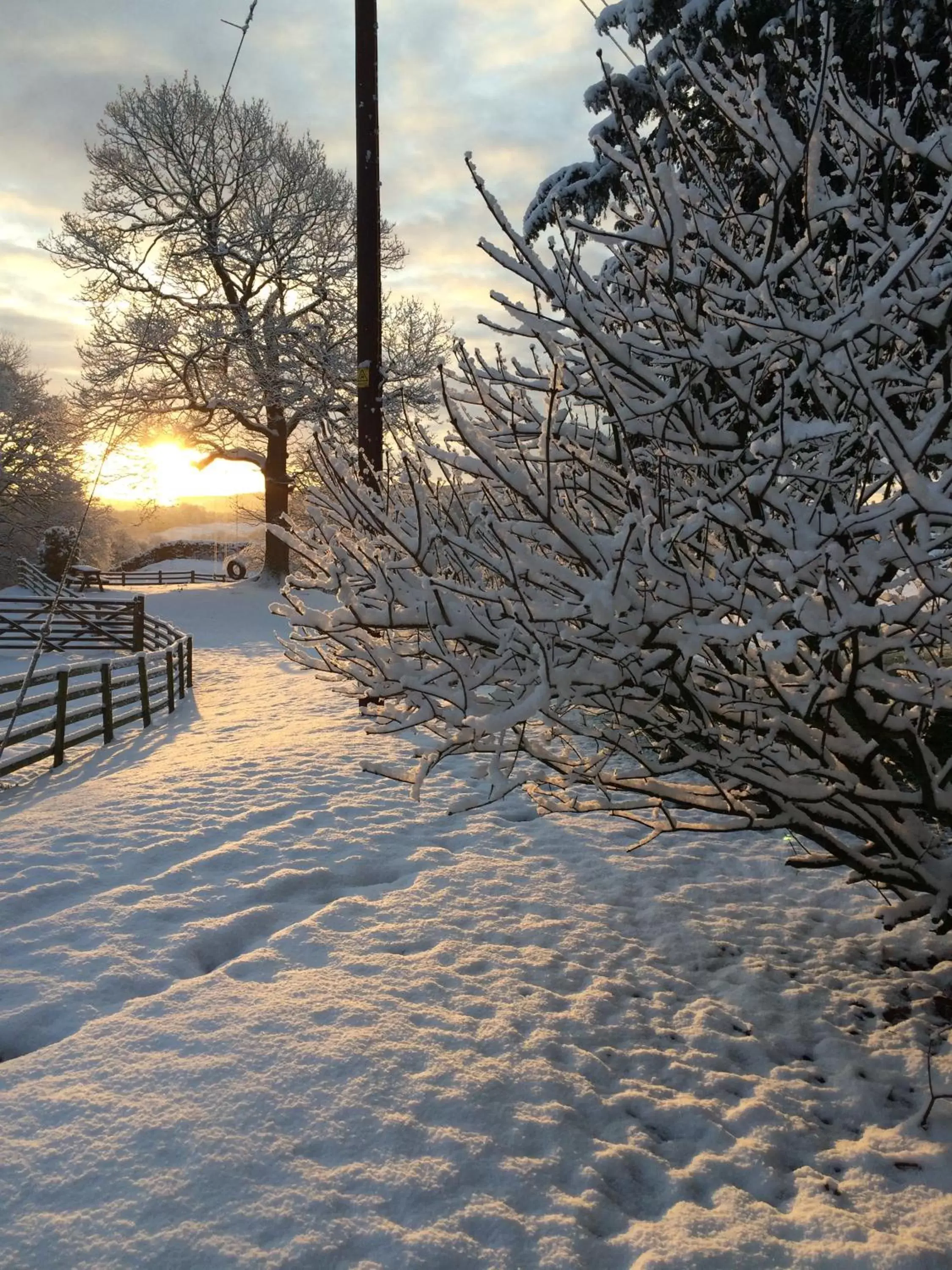 Winter in Holmeshead Farm