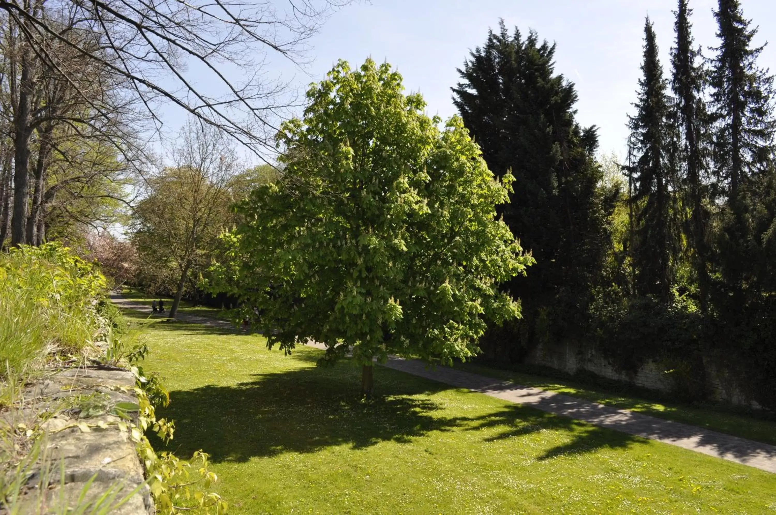 Garden view, Garden in Hotel am Wall