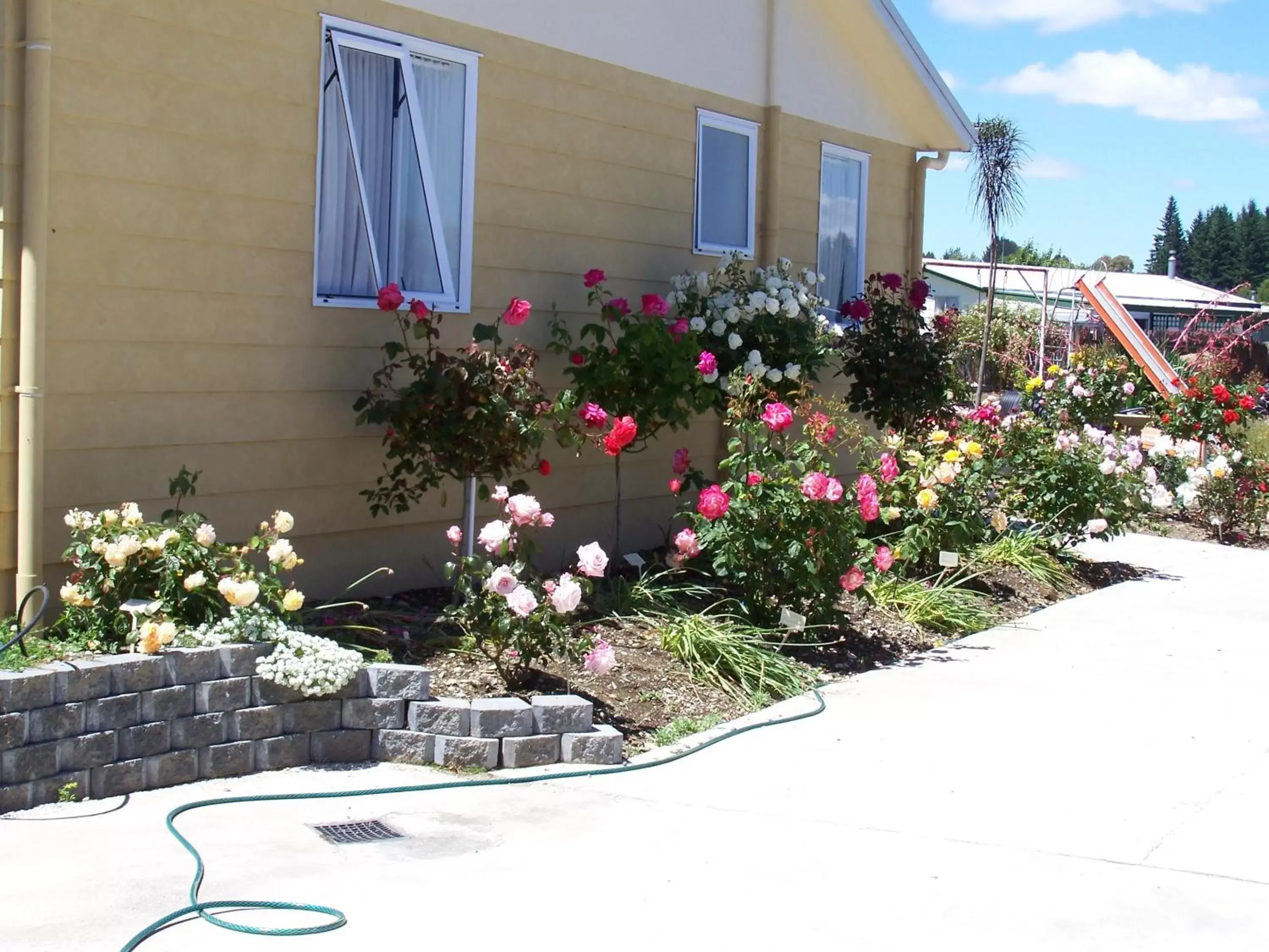 Garden, Property Building in Parklands Motel