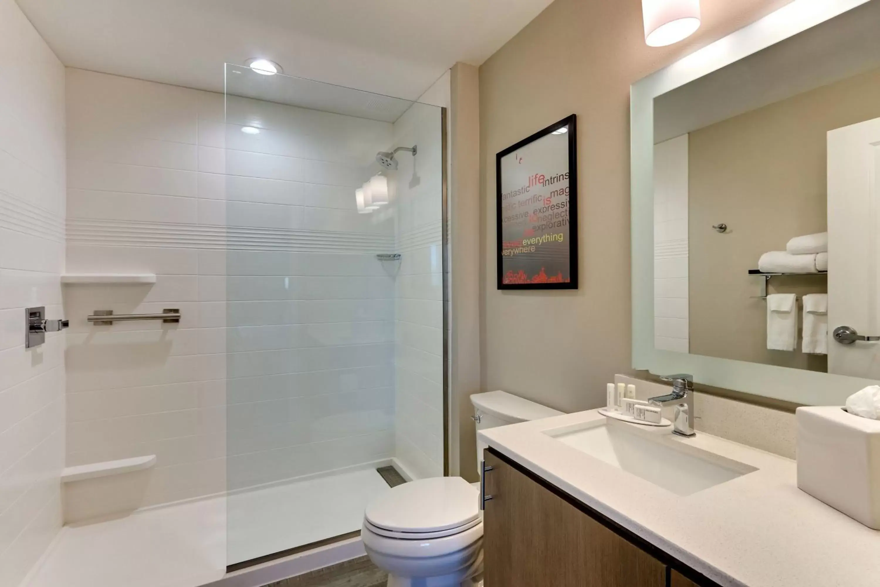 Bathroom in TownePlace Suites by Marriott Houston Northwest Beltway 8