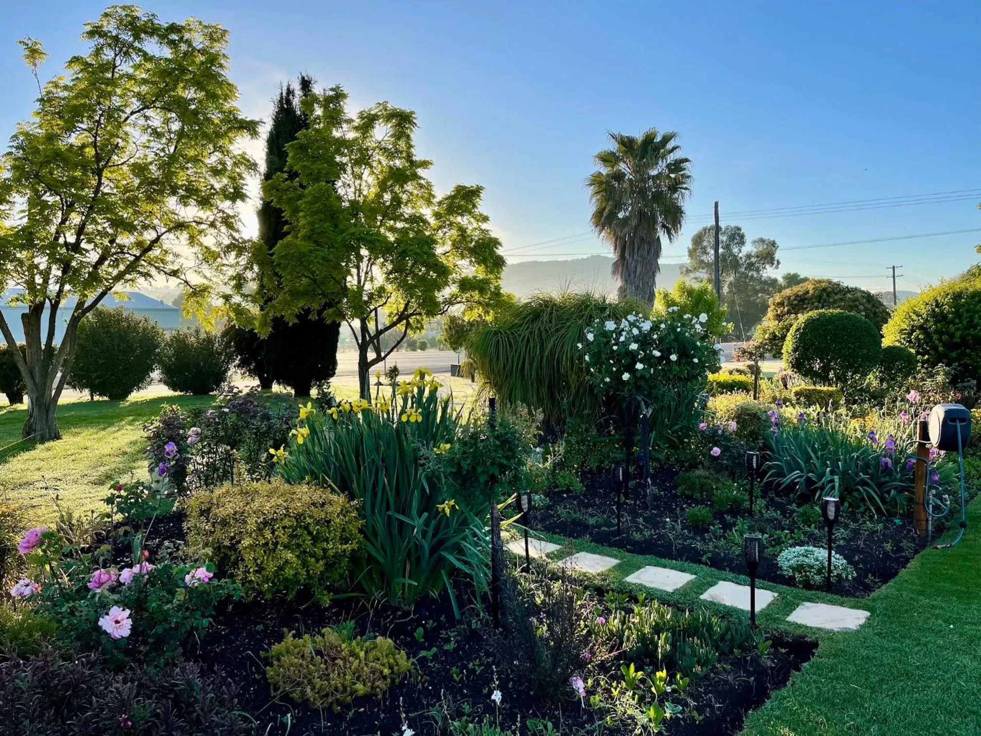 Garden in Quirindi Sunflower Motor Inn