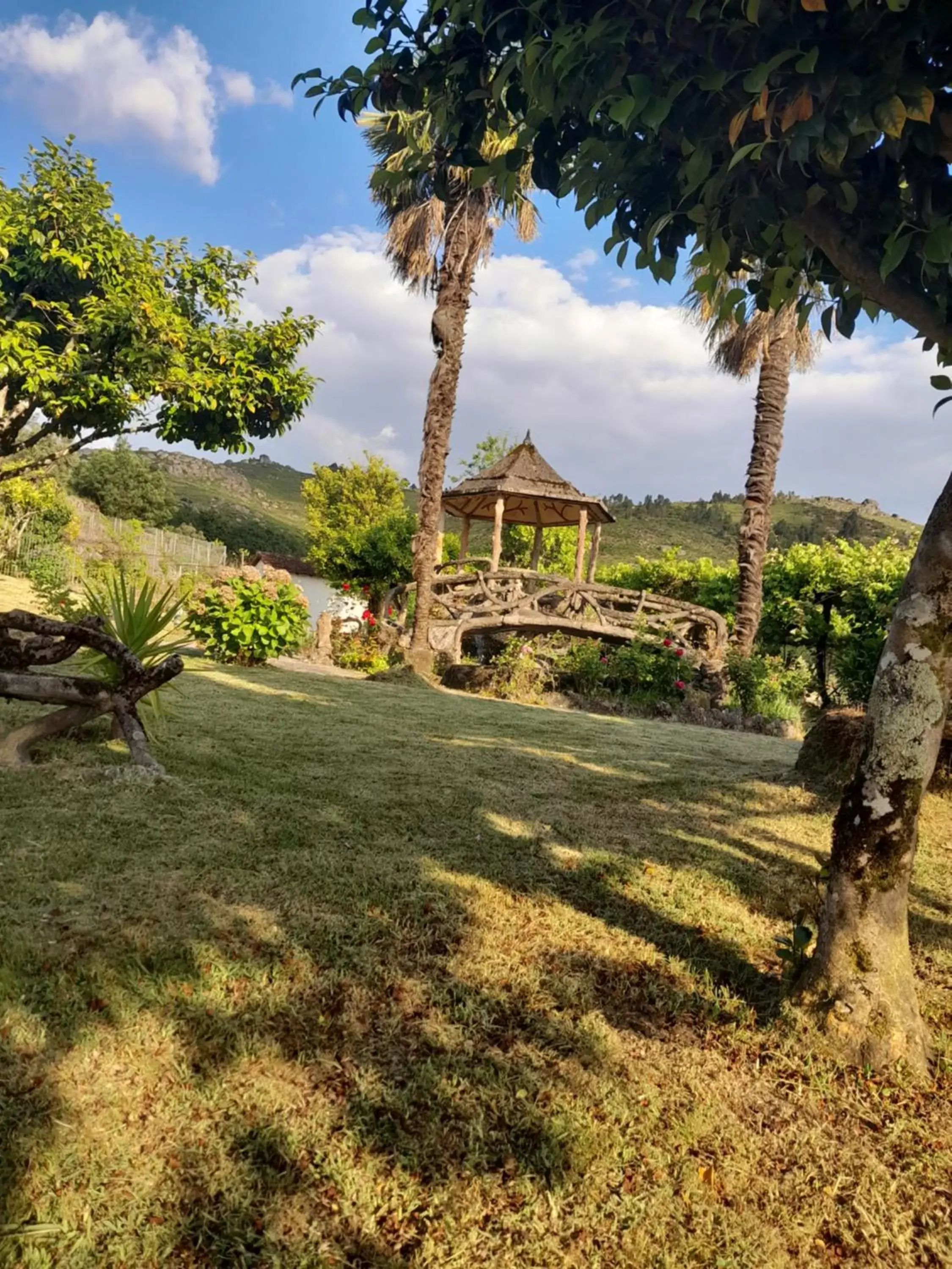 Garden in Casas do sameiro