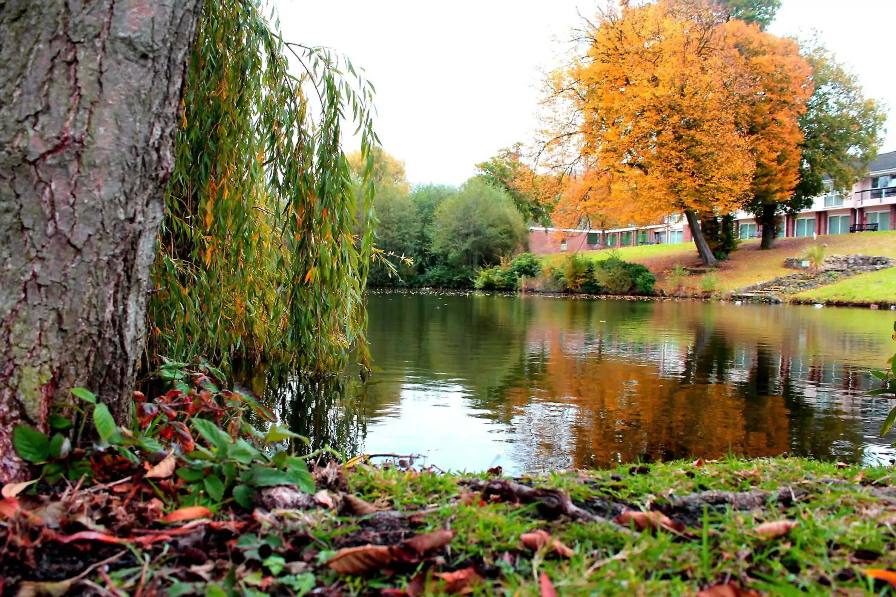 Garden in Inn On The Lake