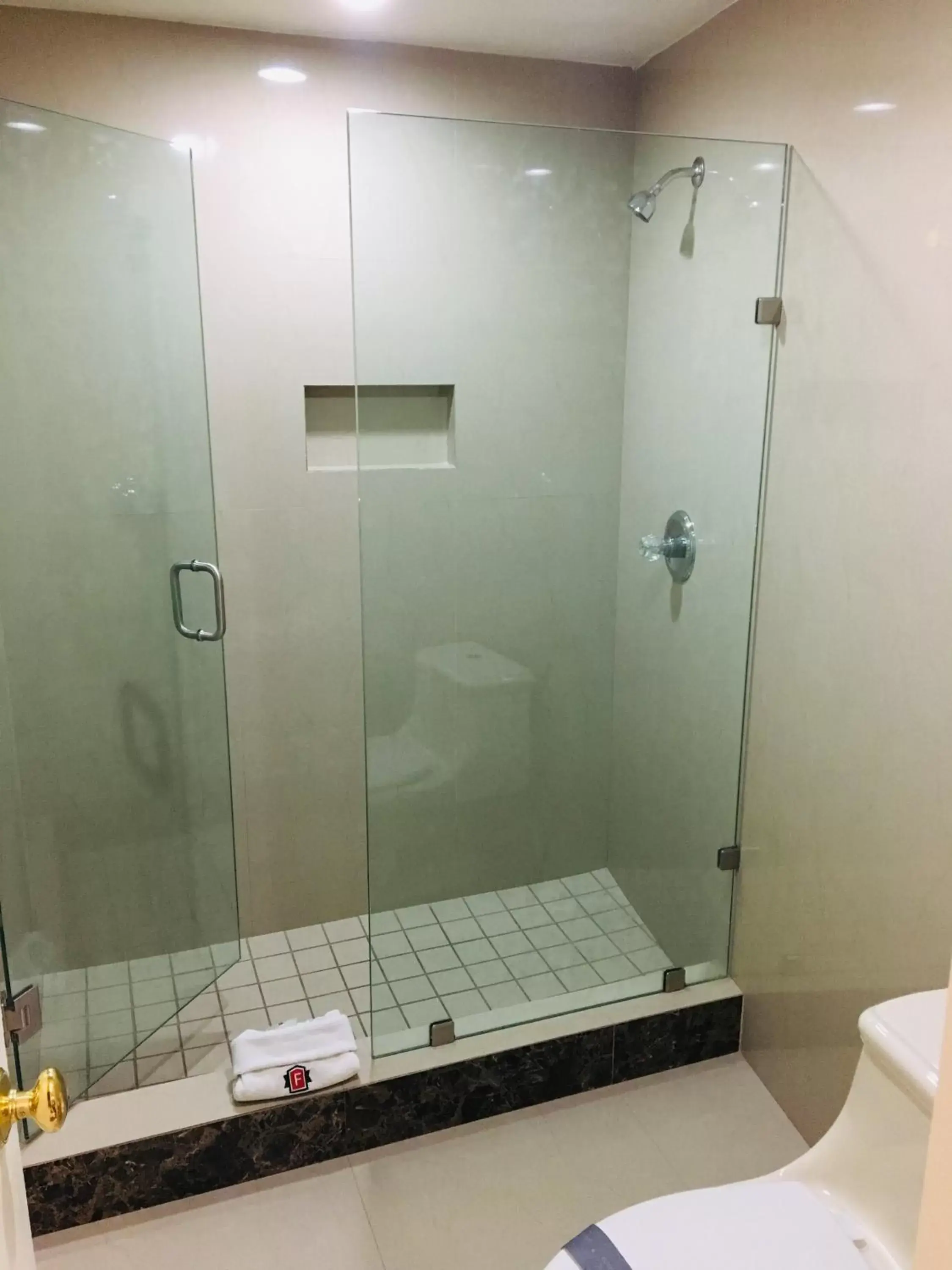 Shower, Bathroom in Hotel Frontiere Tijuana