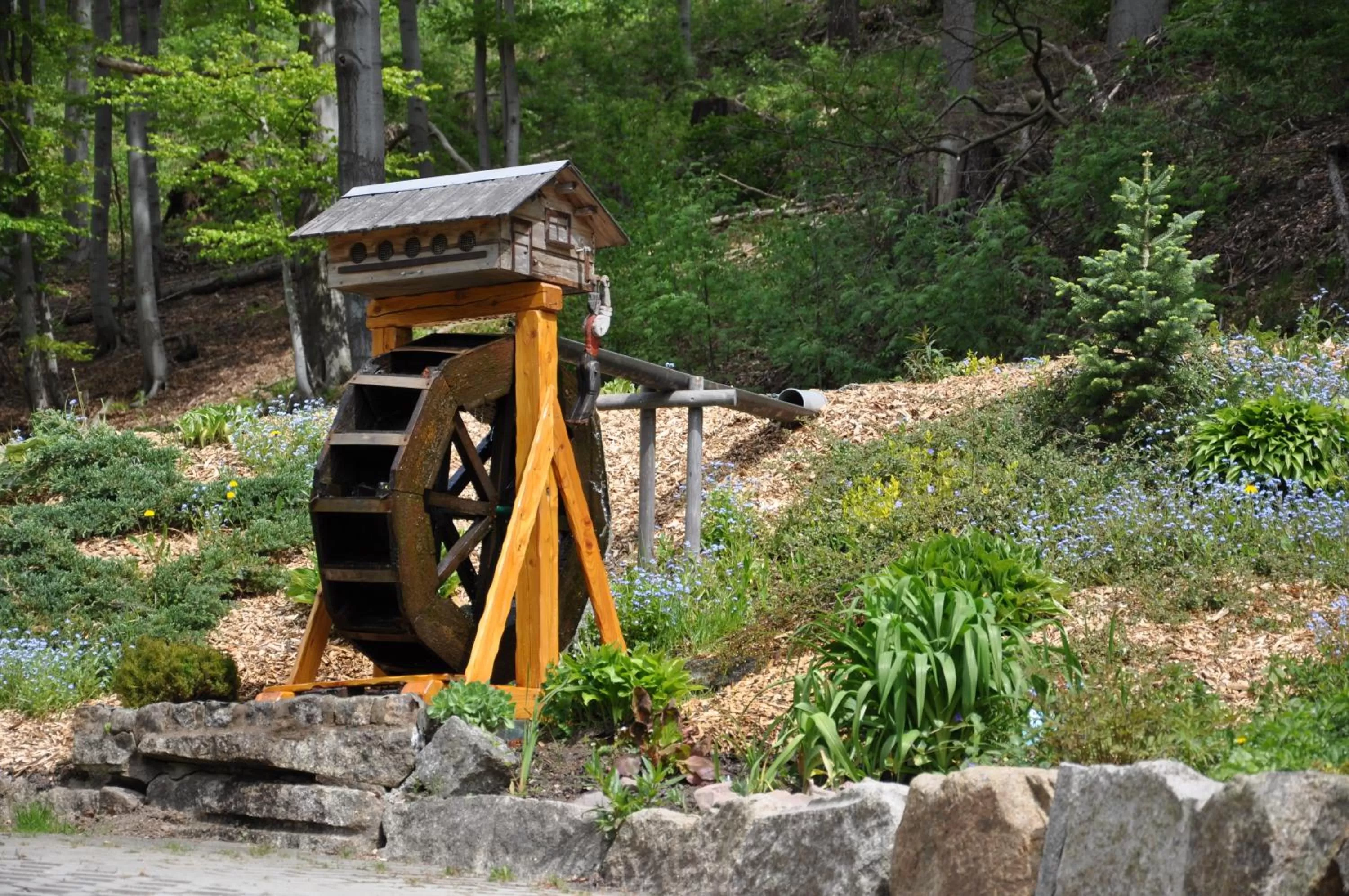 Facade/entrance in Hotel Waldmühle