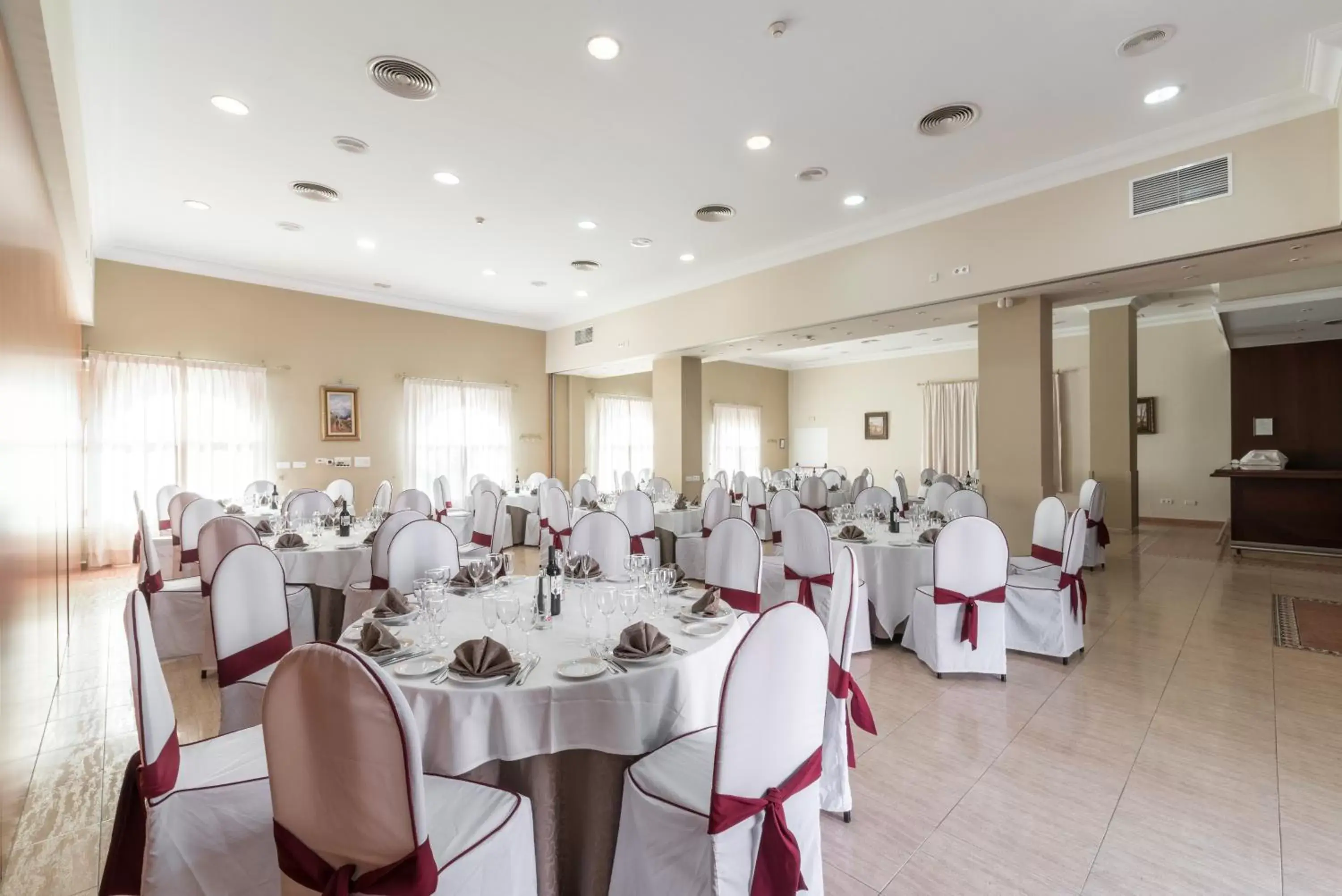 Food and drinks, Banquet Facilities in Hotel Romerito