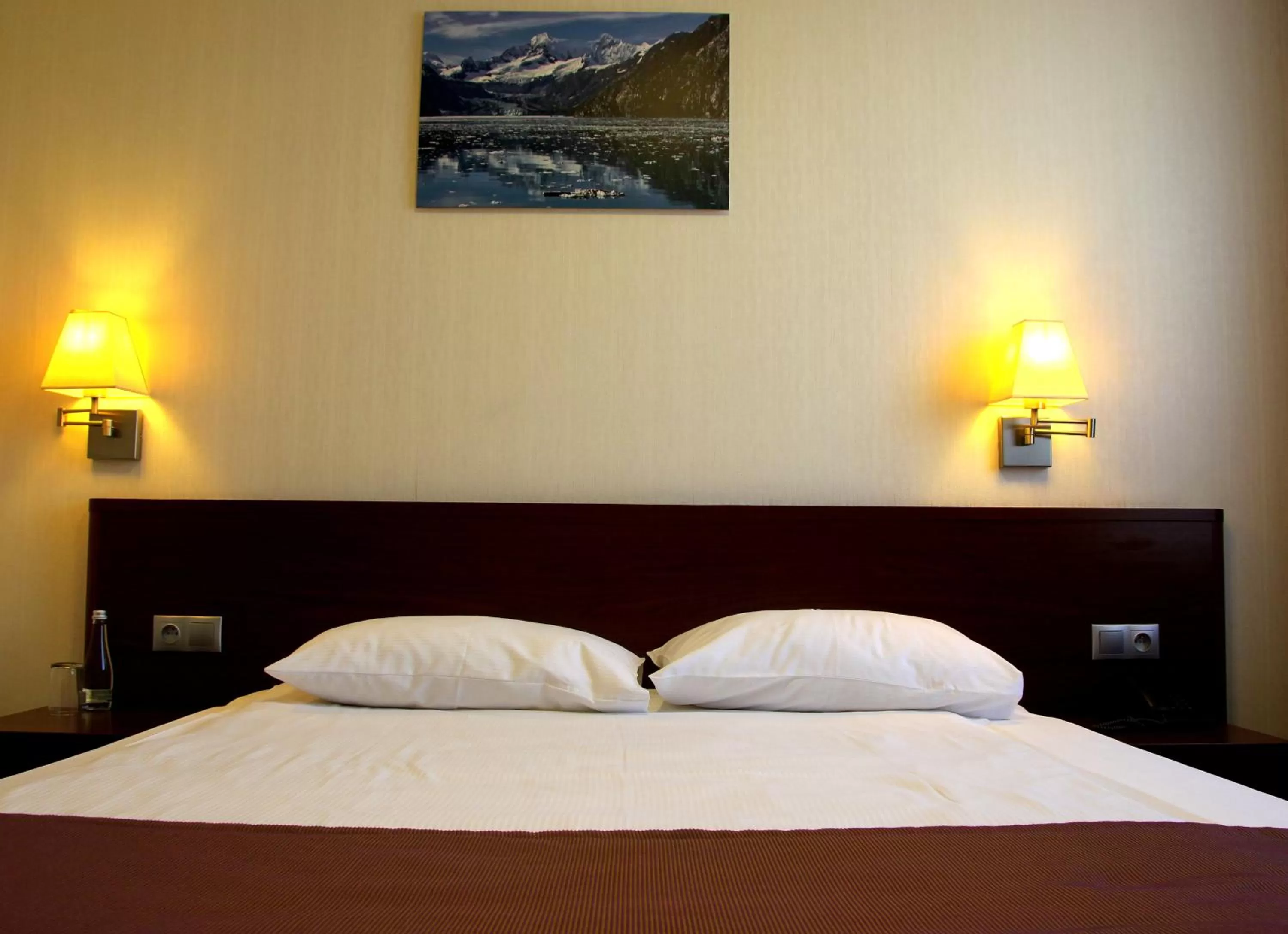 Photo of the whole room, Bed in Hotel Arena Expo