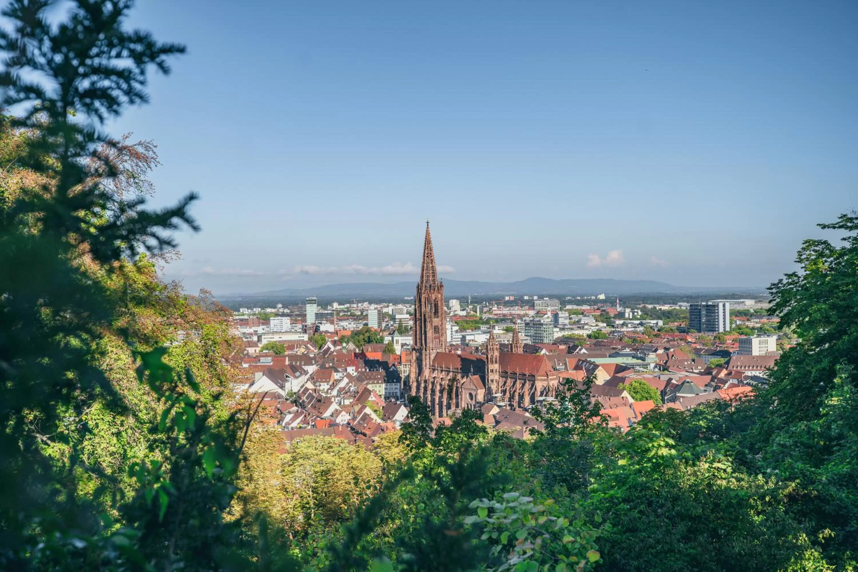 Activities in Dorint Thermenhotel Freiburg